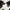 Black & White Brazil Cowhide Rug