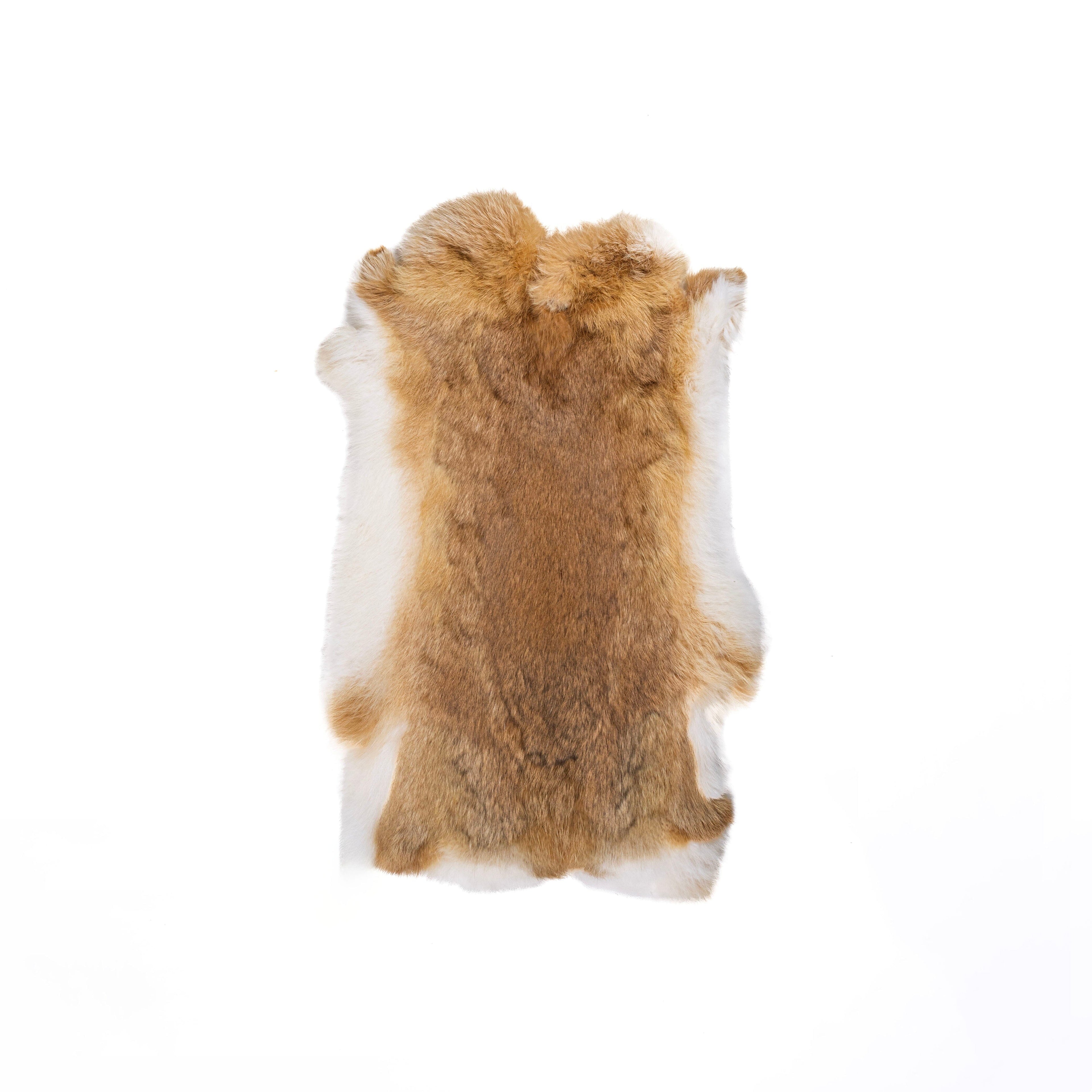 Rabbit pelt