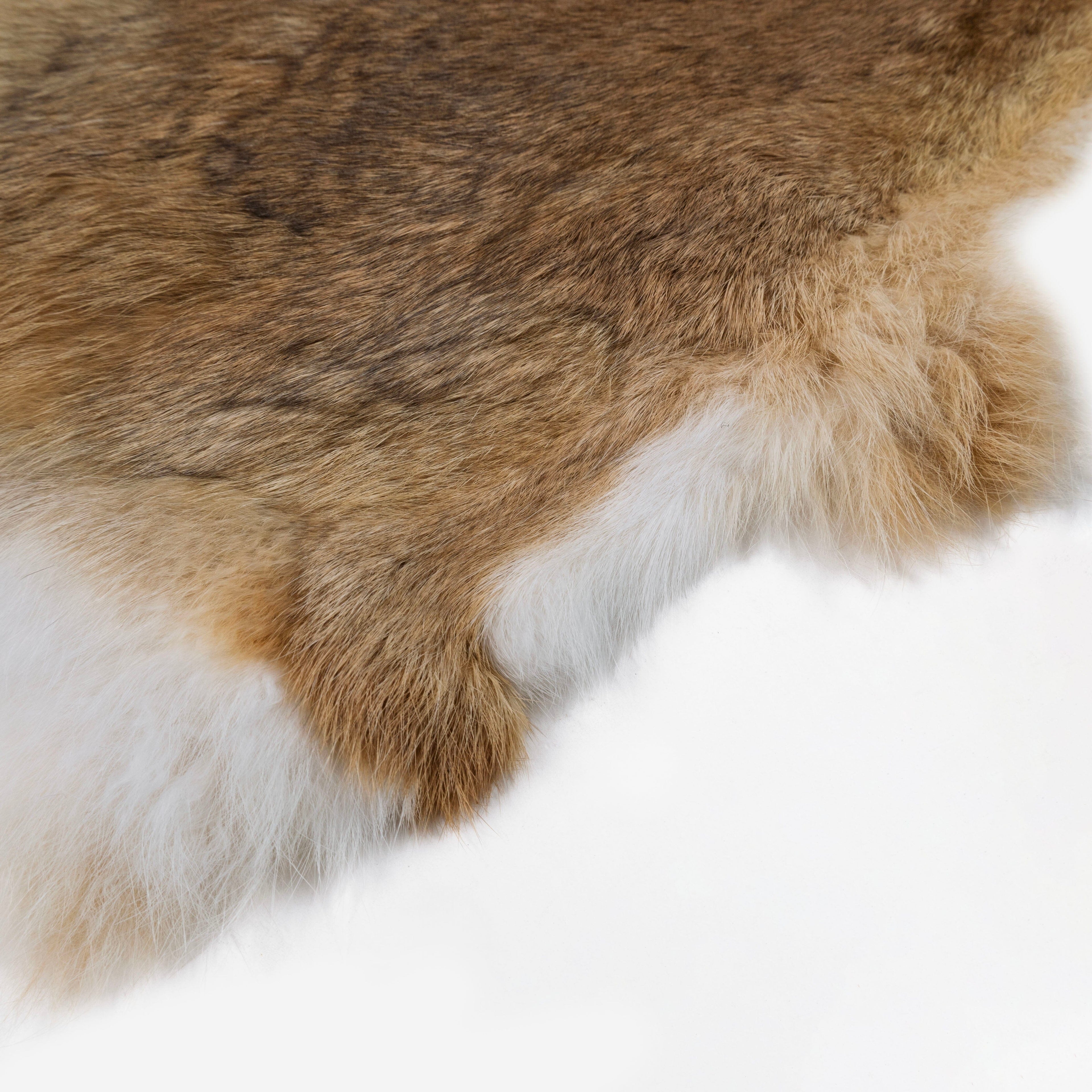 Rabbit pelt
