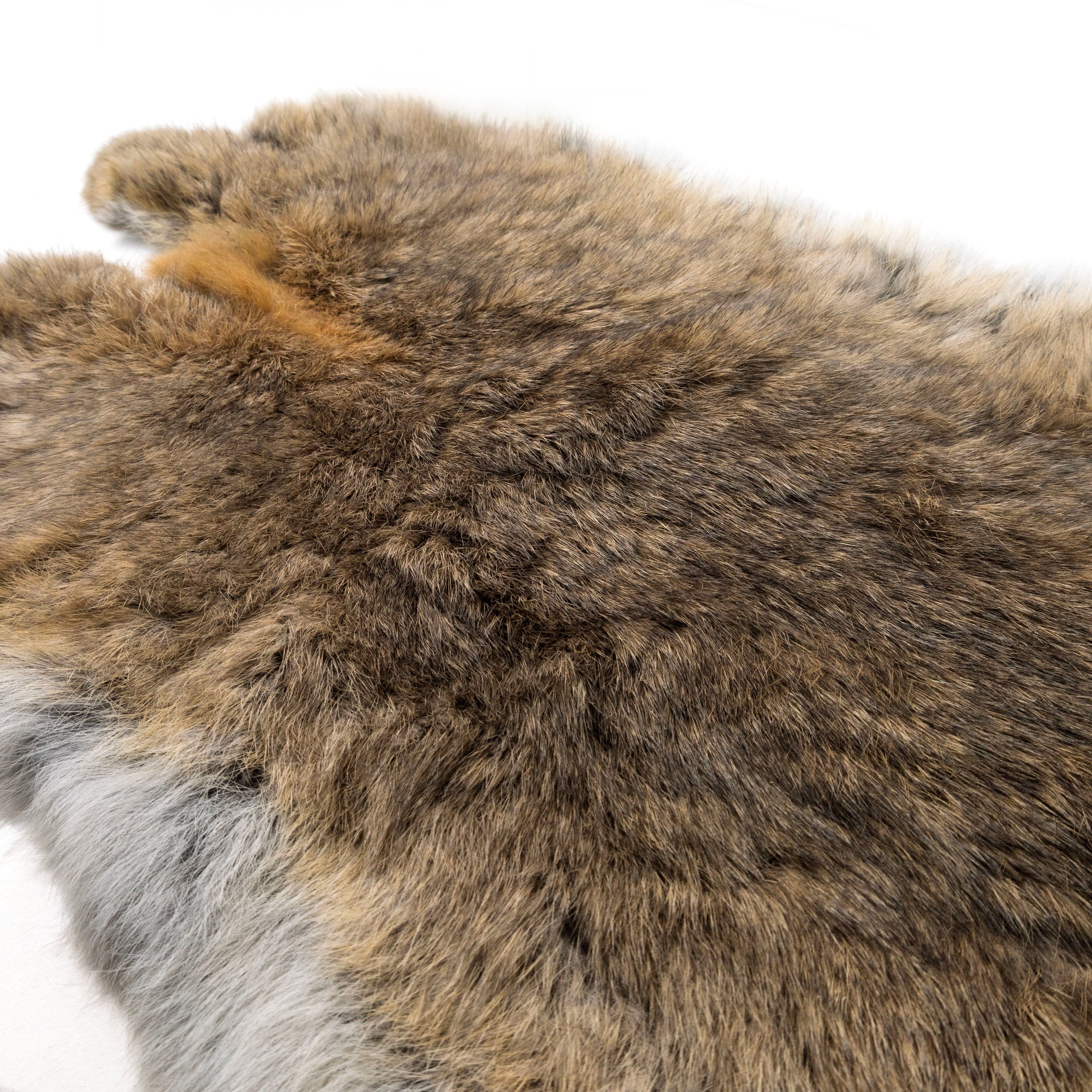 Rabbit pelt