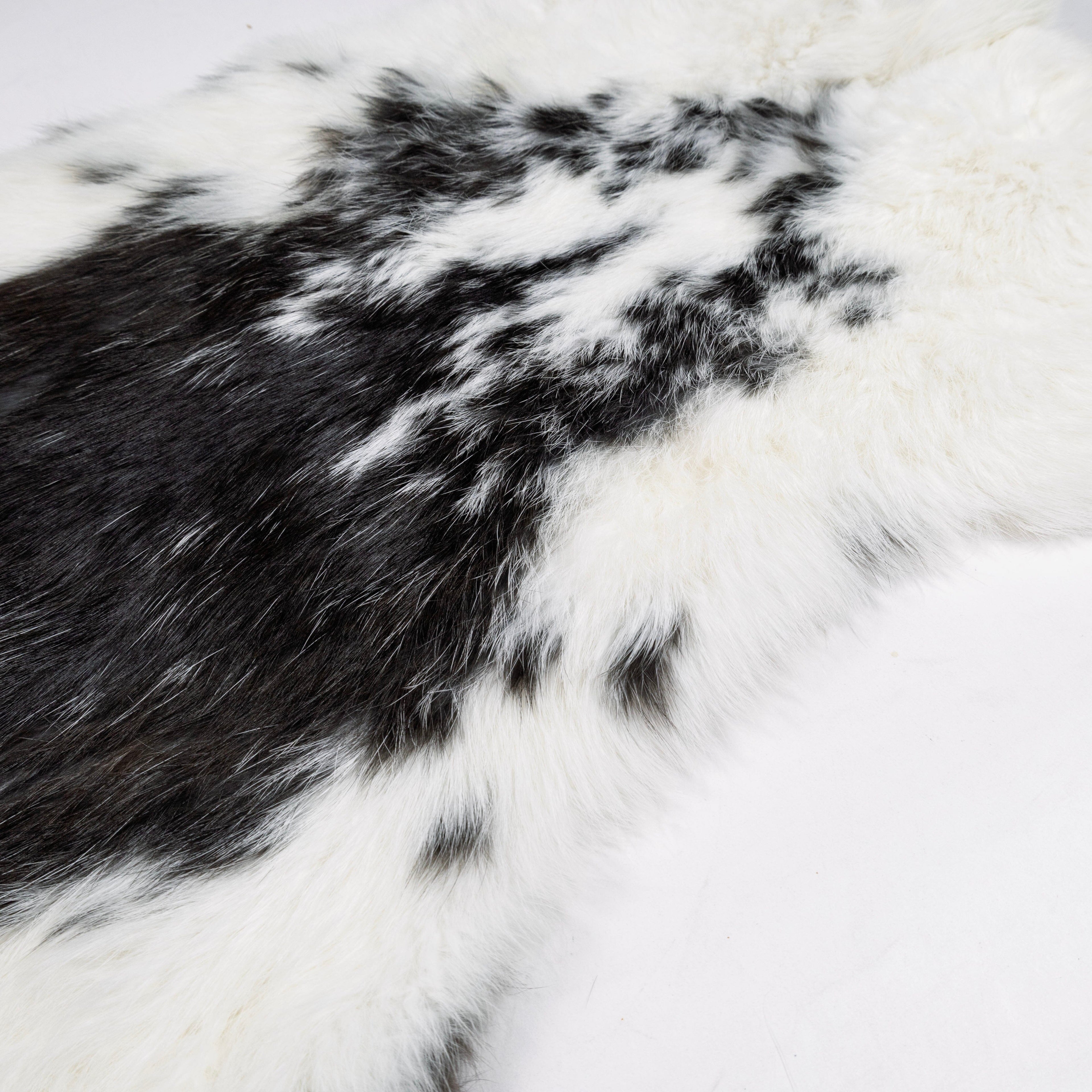 Rabbit pelt