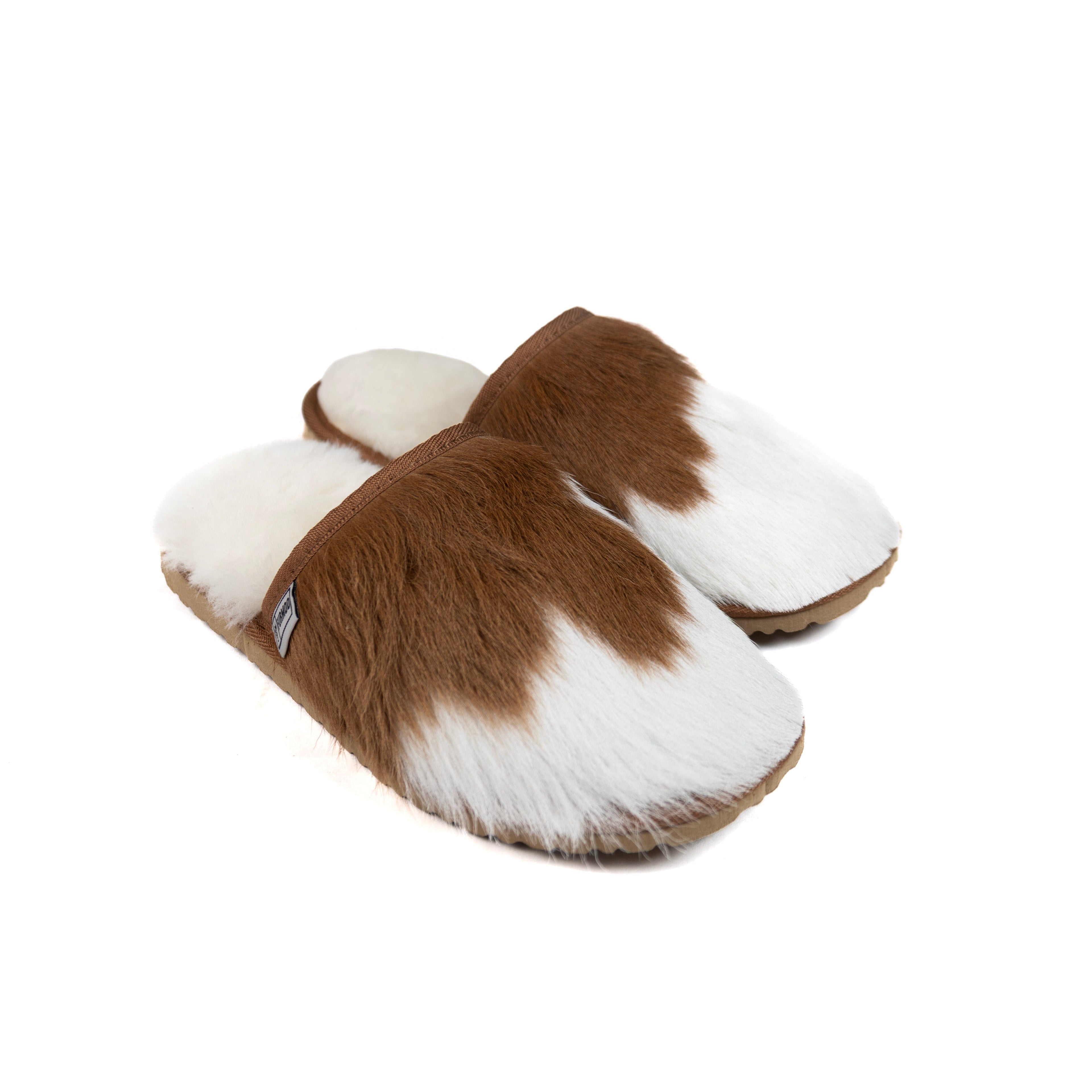 Chestnut Moodles