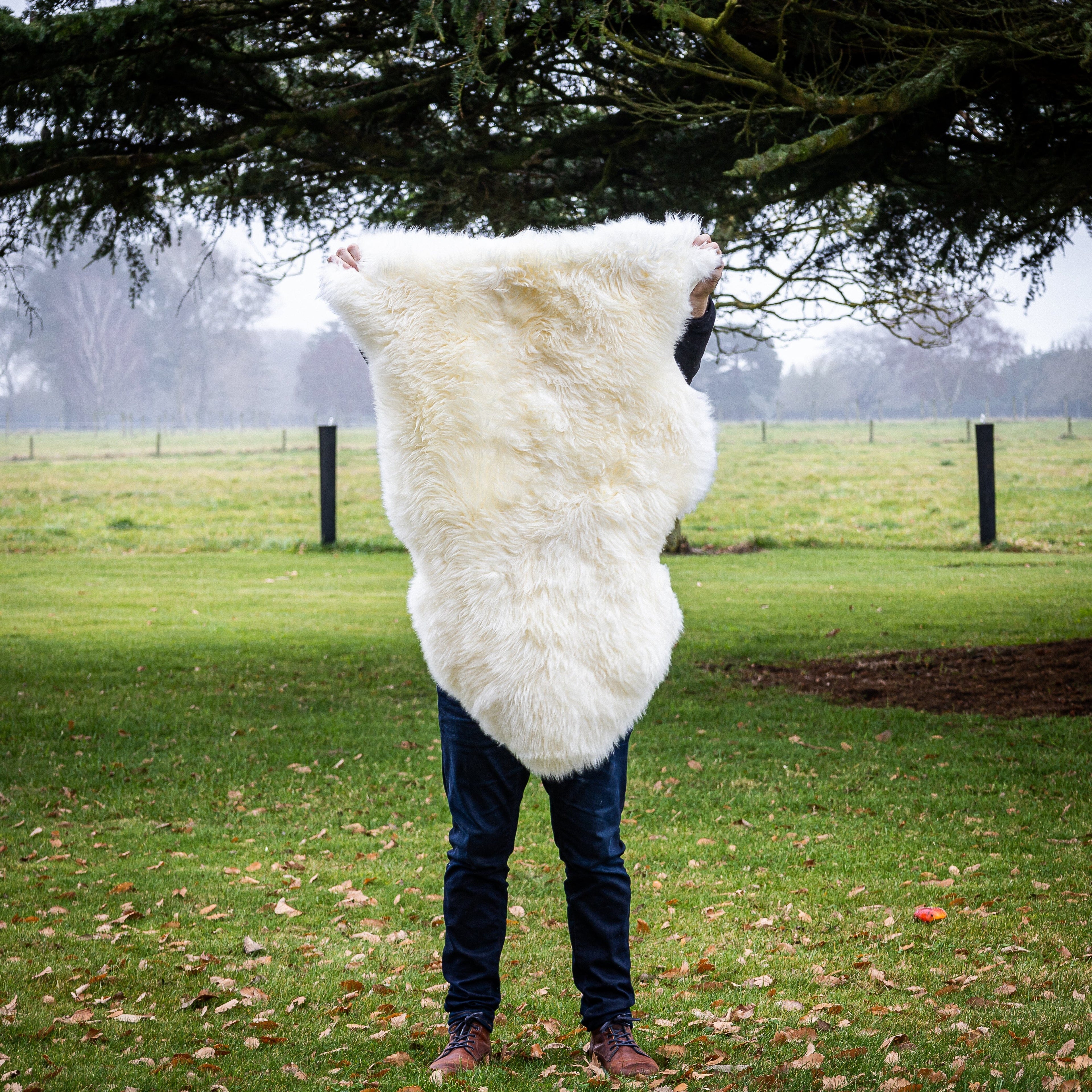 Ivory Sheepskin Rug