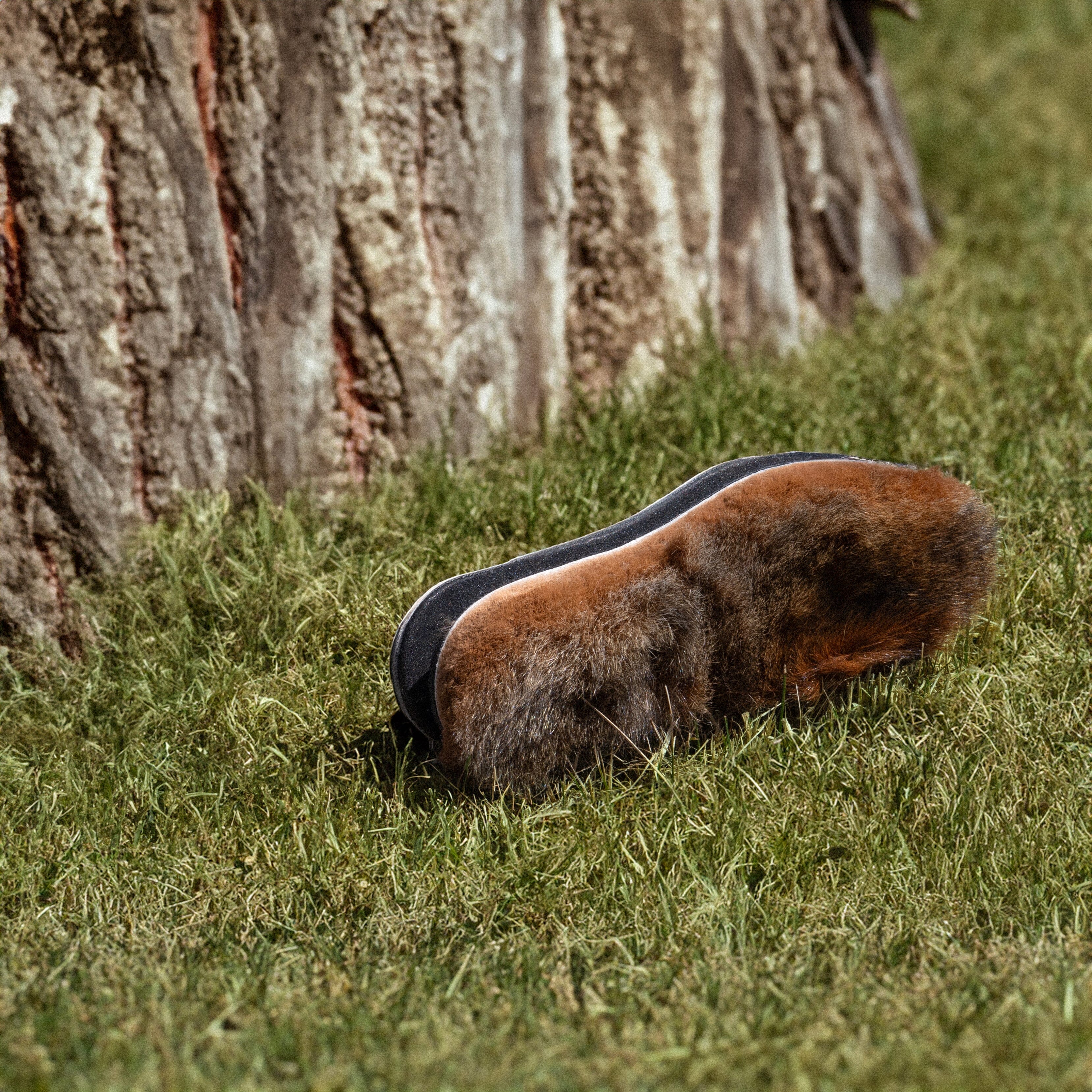 Possum Shoe & Boot Inner Sole