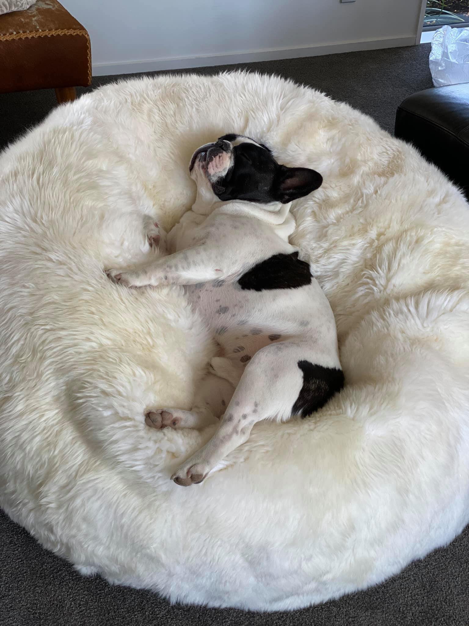 Large Genuine Sheepskin Bean Bag