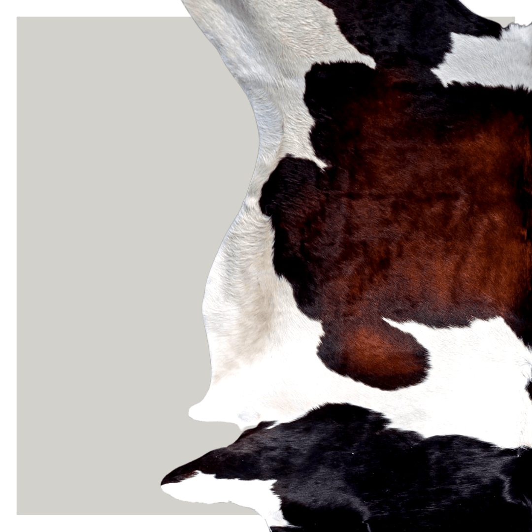 Cowhide Rugs