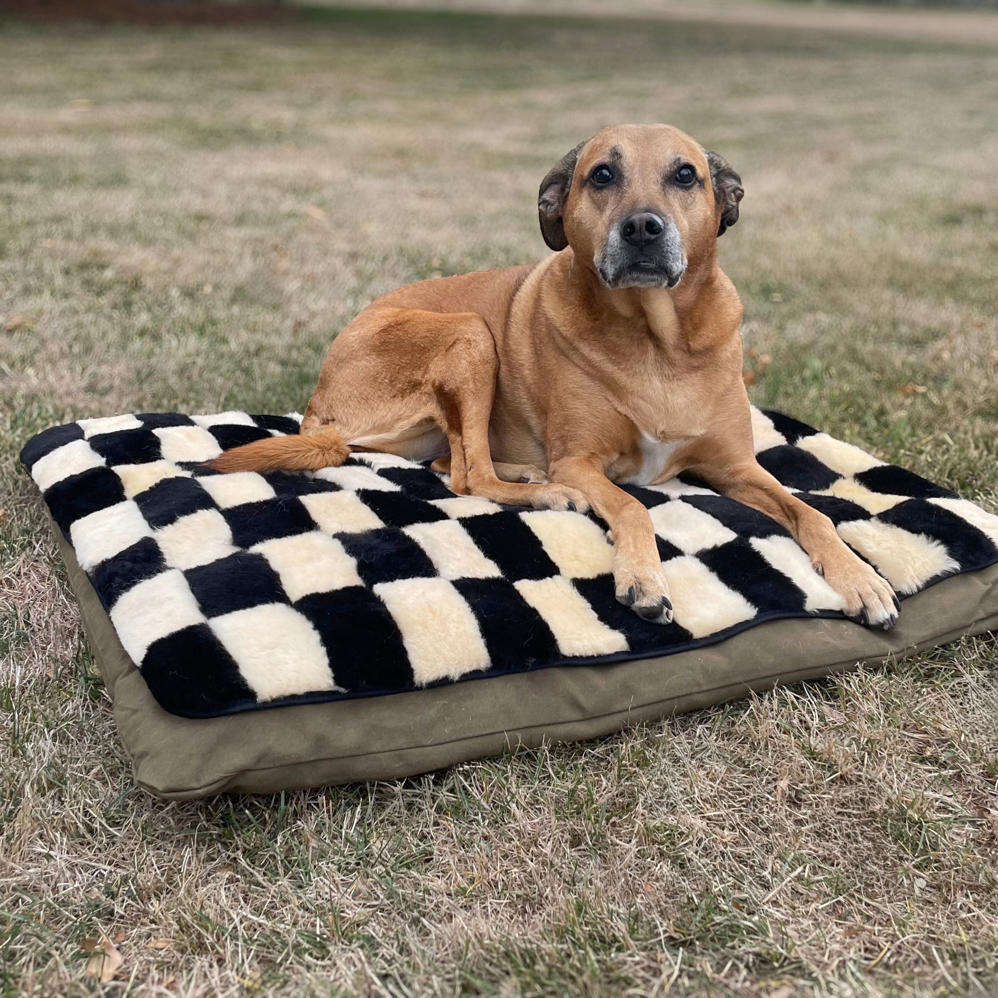 Sheepskin Dog/Pet Mat