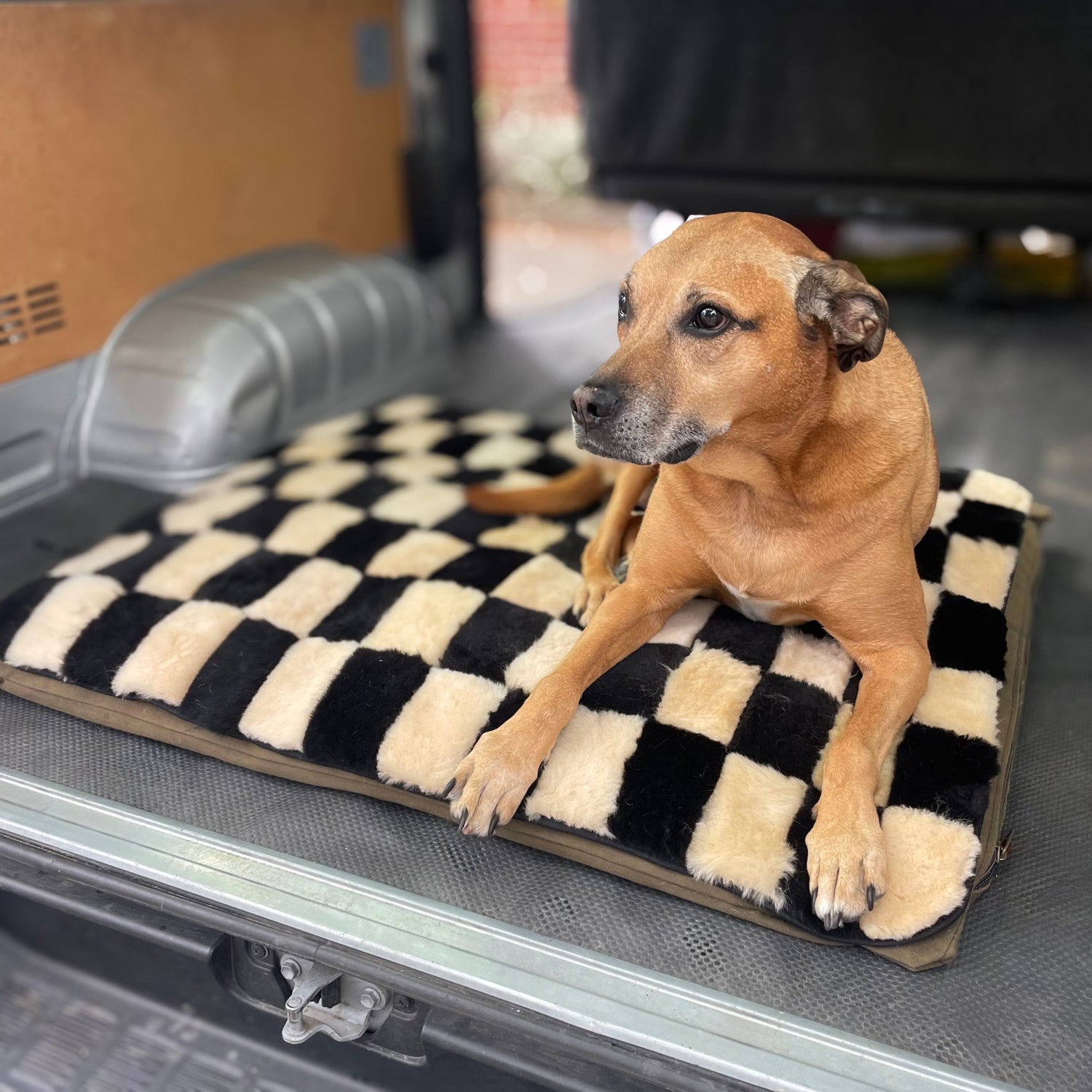 Sheepskin Dog/Pet Mat