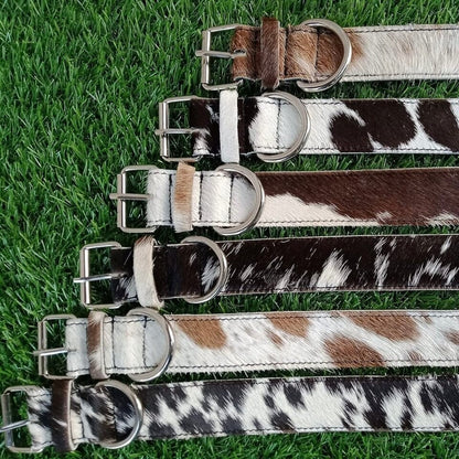 Cowhide Dog Collar