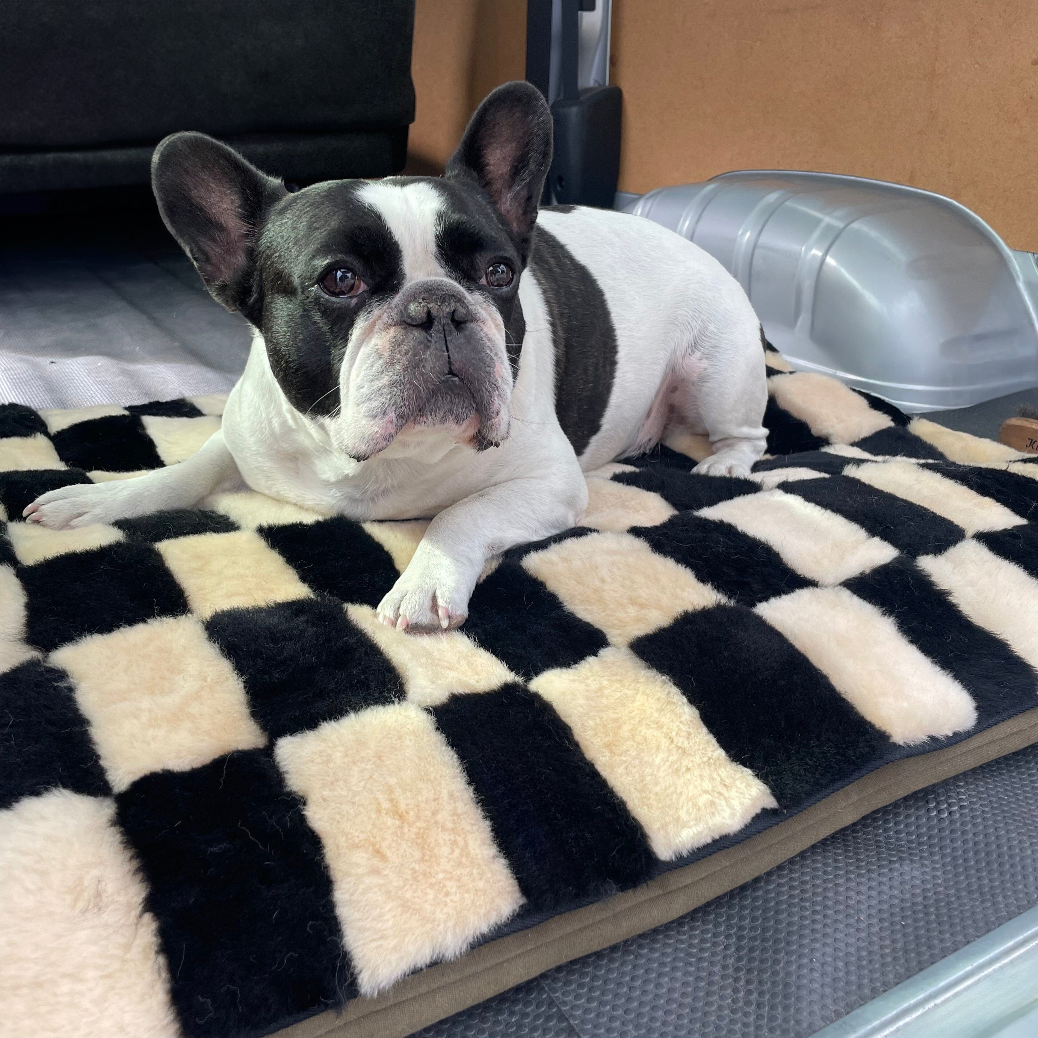 Sheepskin Dog/Pet Mat