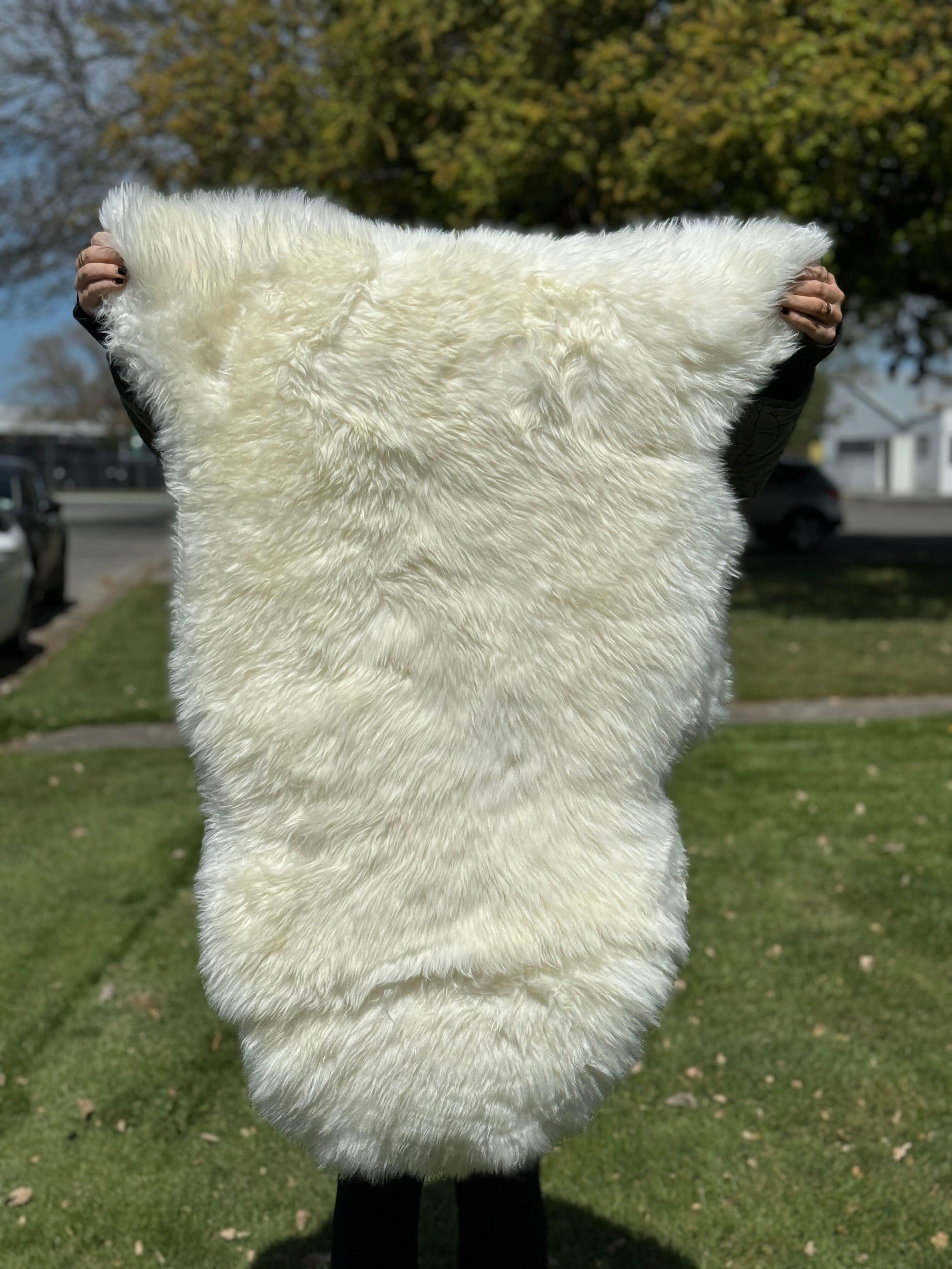 Deluxe Sheepskin Clearance Rugs