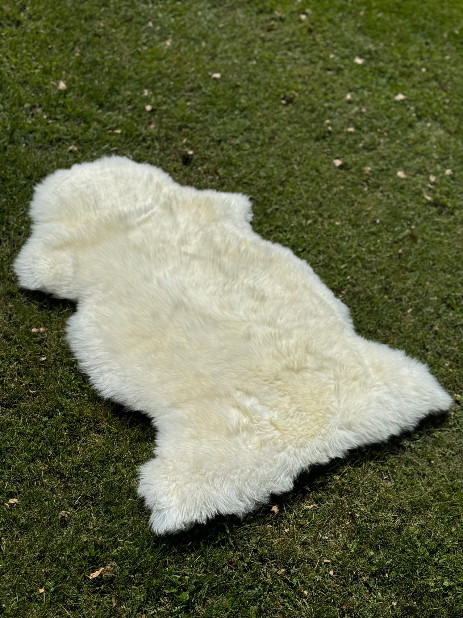 Deluxe Sheepskin Clearance Rugs