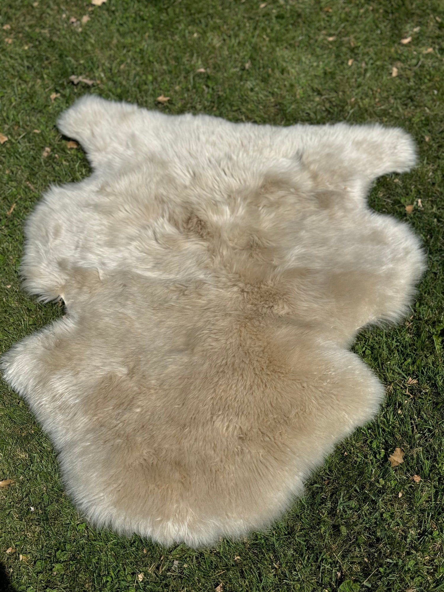 Deluxe Sheepskin Clearance Rugs