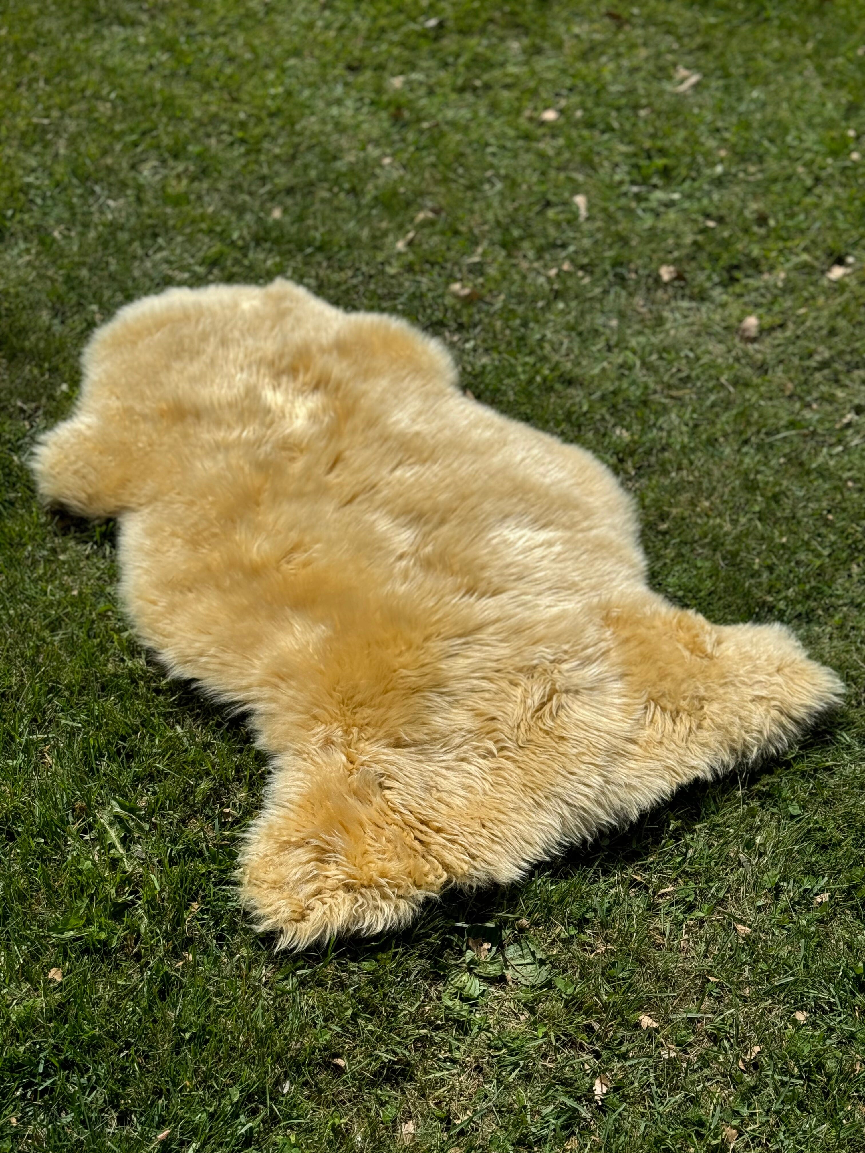 Deluxe Sheepskin Clearance Rugs - Launching Black Friday