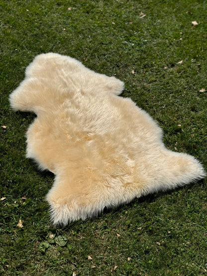 Deluxe Sheepskin Clearance Rugs - Launching Black Friday