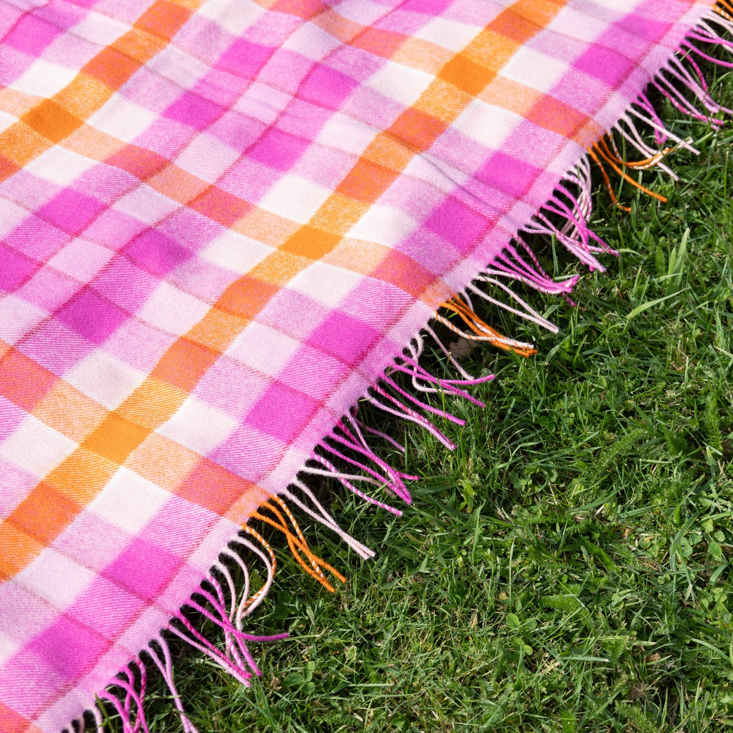 Blush N Blaze Tartan Lambswool Blanket