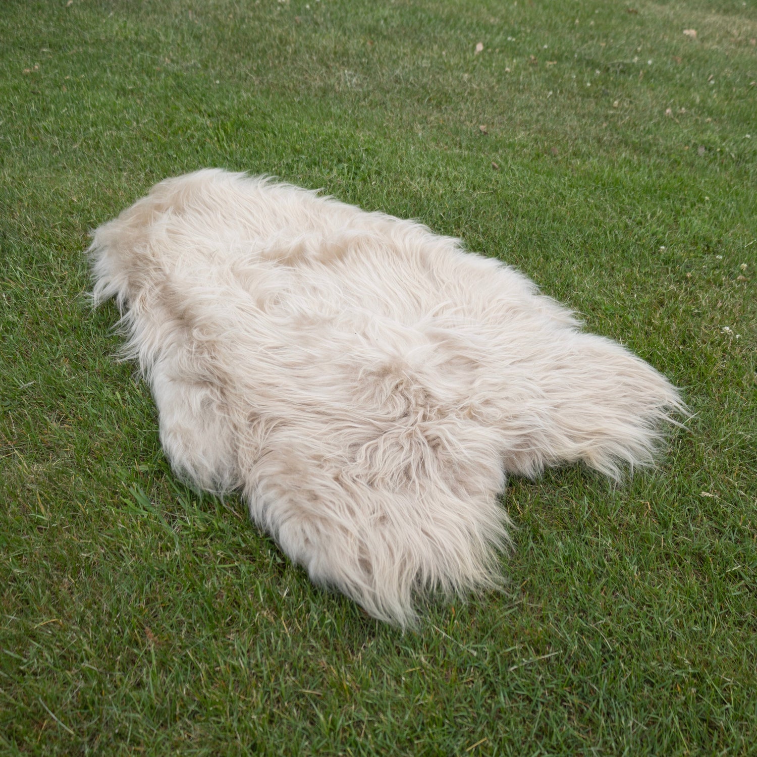 Large Arctic Fleece Sheepskin