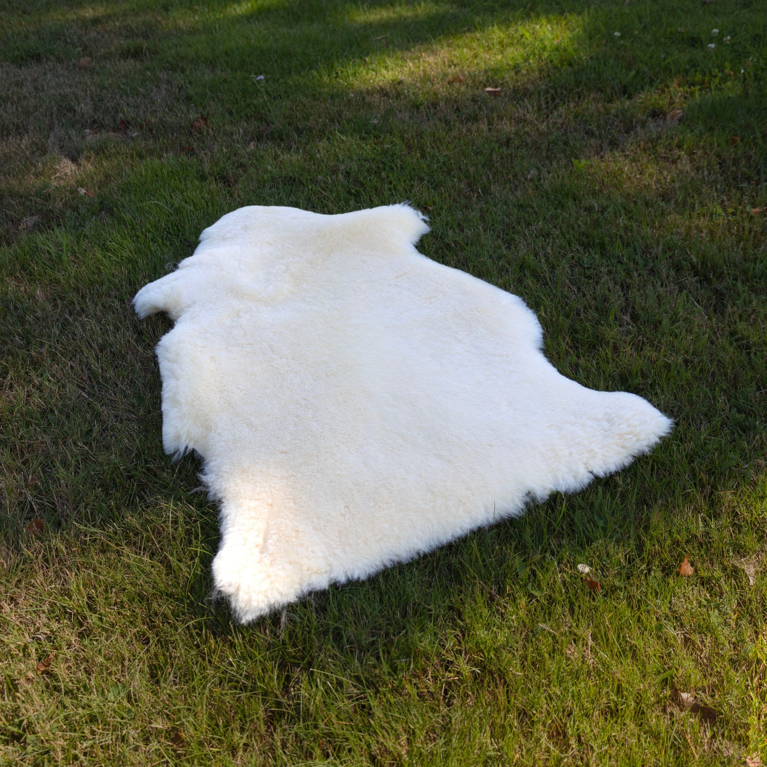 Sheepskin Rug Supplier Clearance