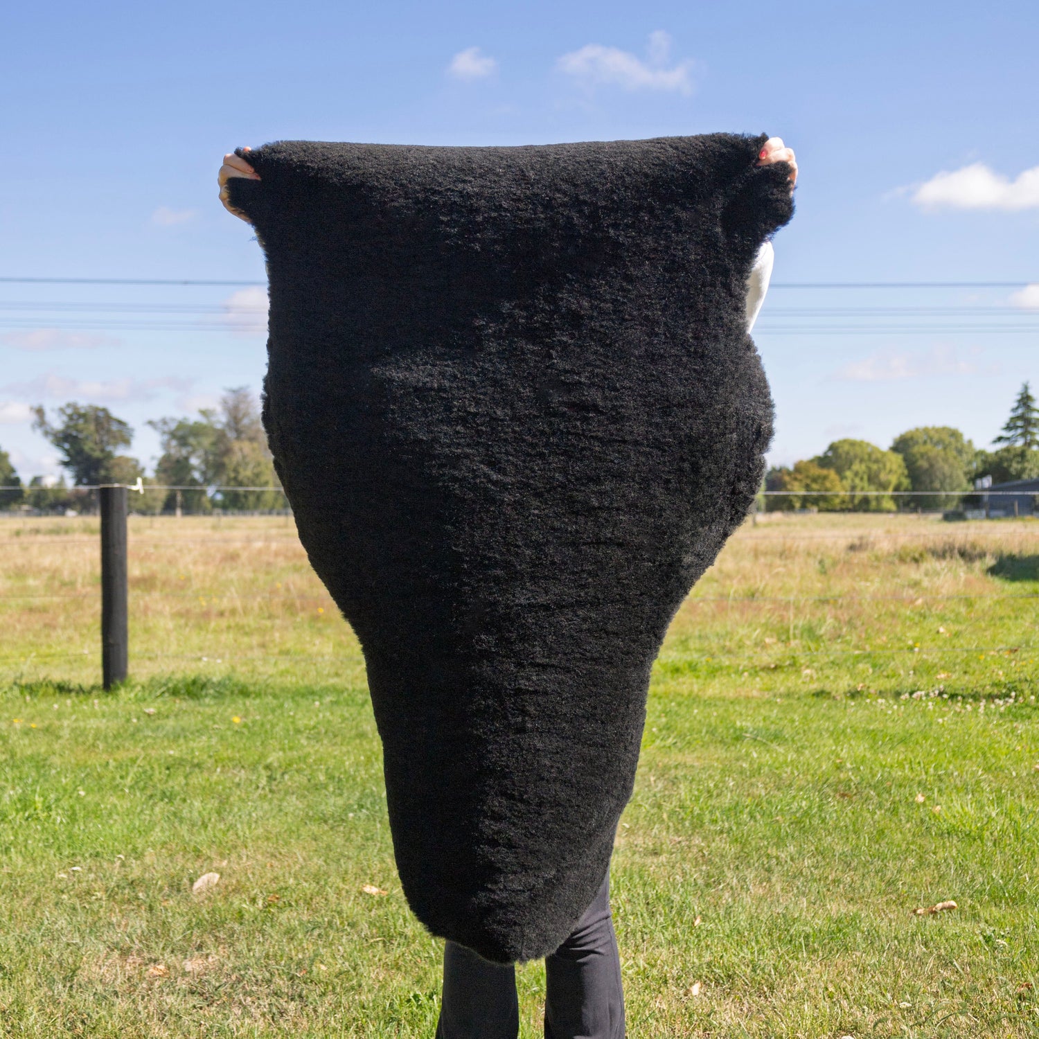 Sheepskin Rug Special Black