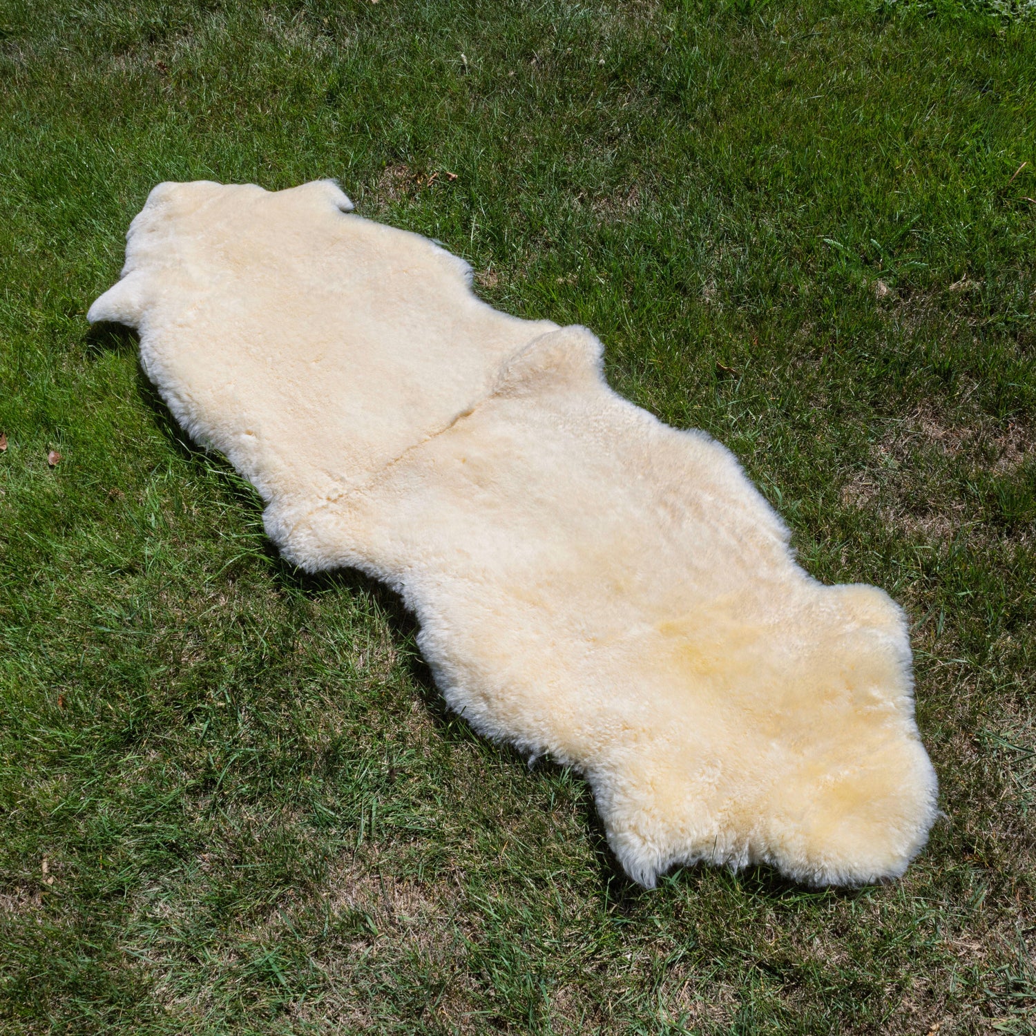 Sheepskin Rug Supplier Clearance