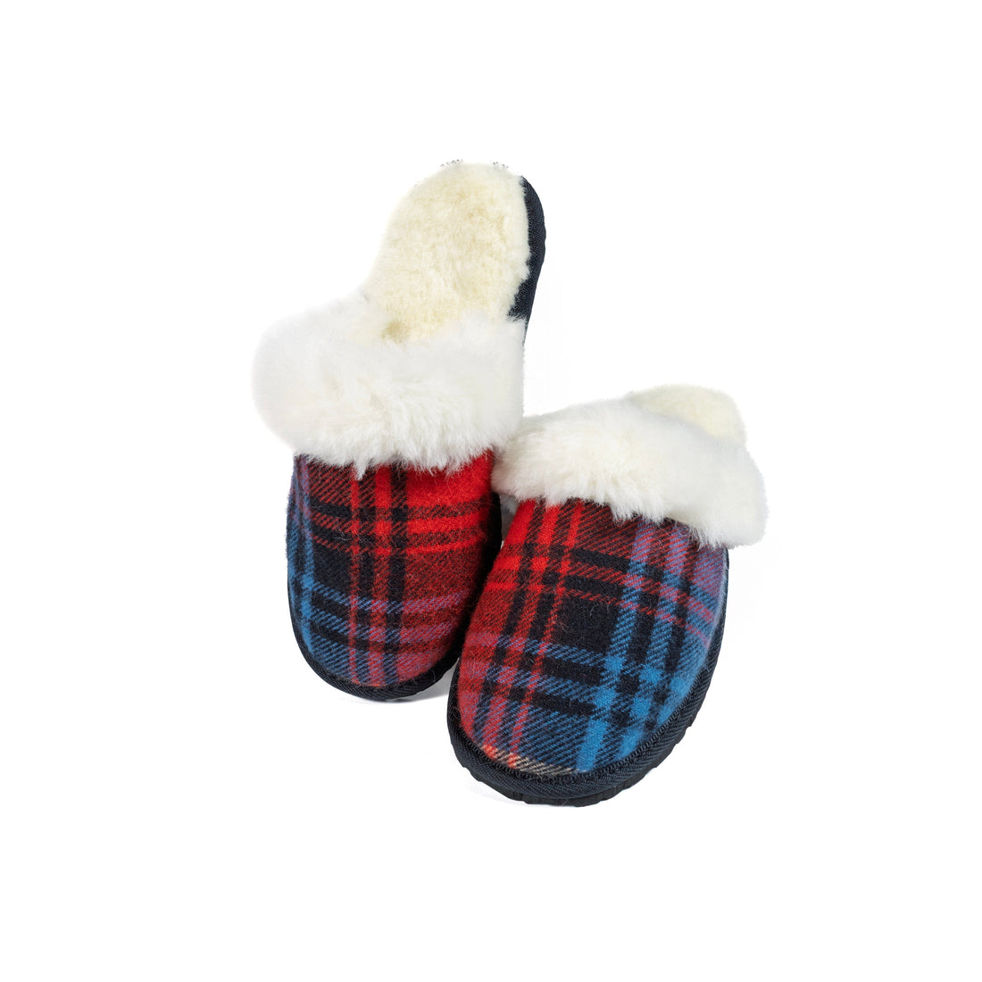 Ruby Tartan Moodle
