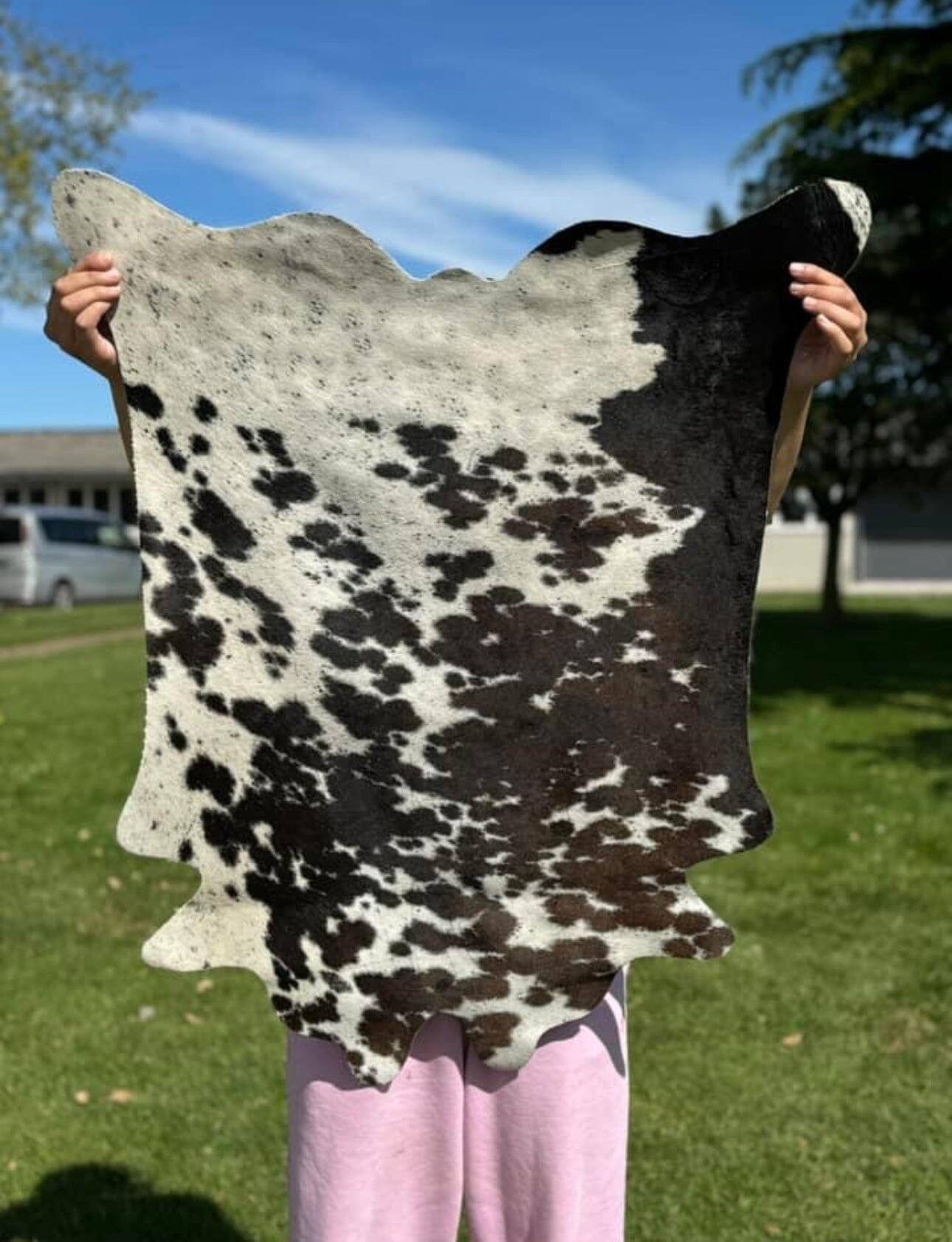 Mini Premium Cowhides