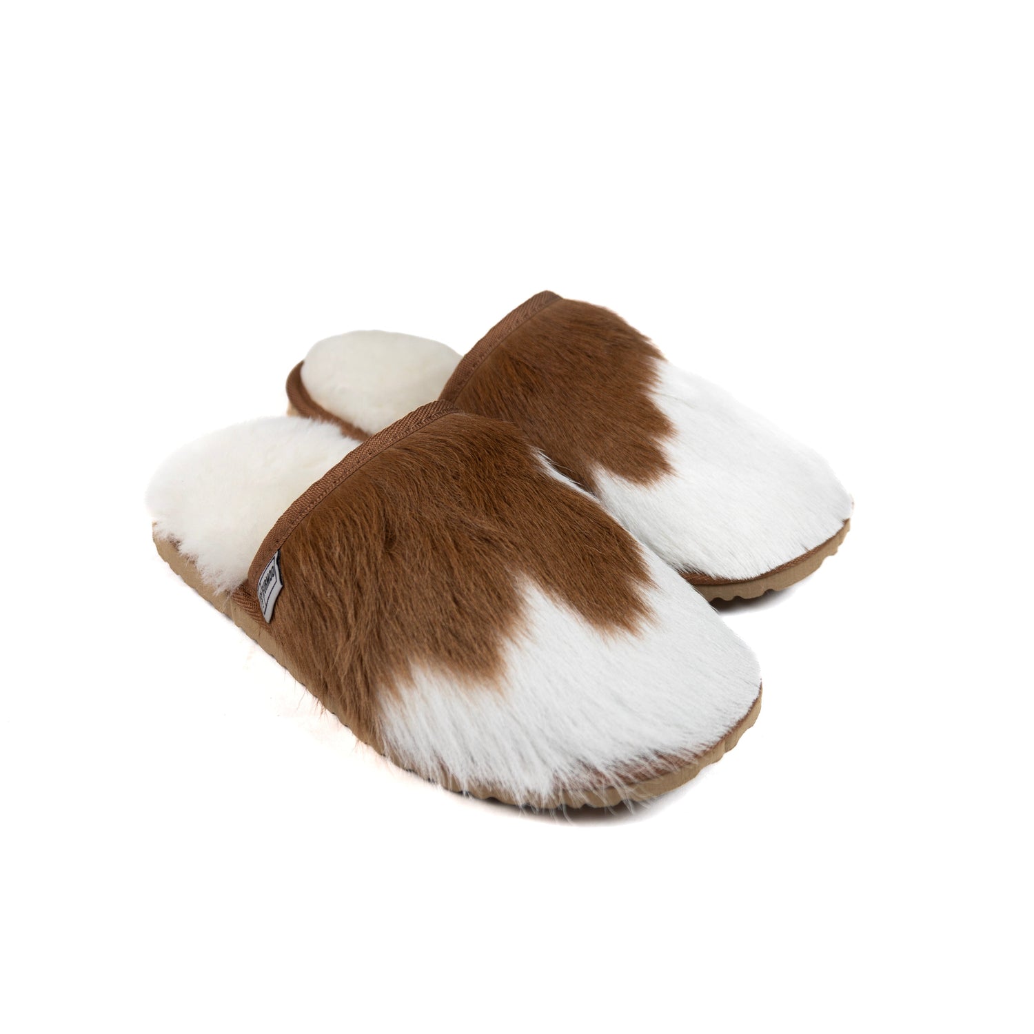 Chestnut Moodles