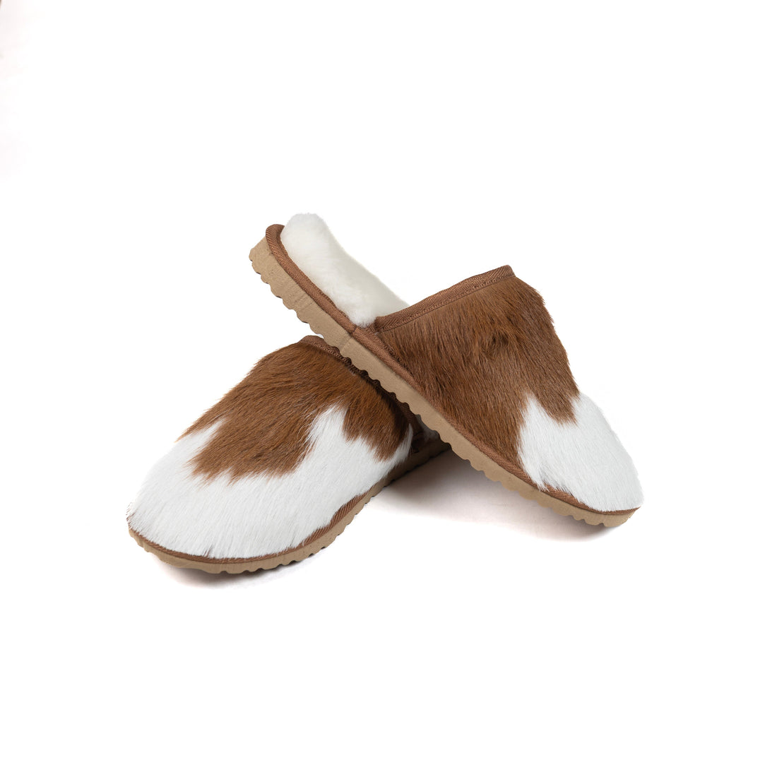 Chestnut Moodles