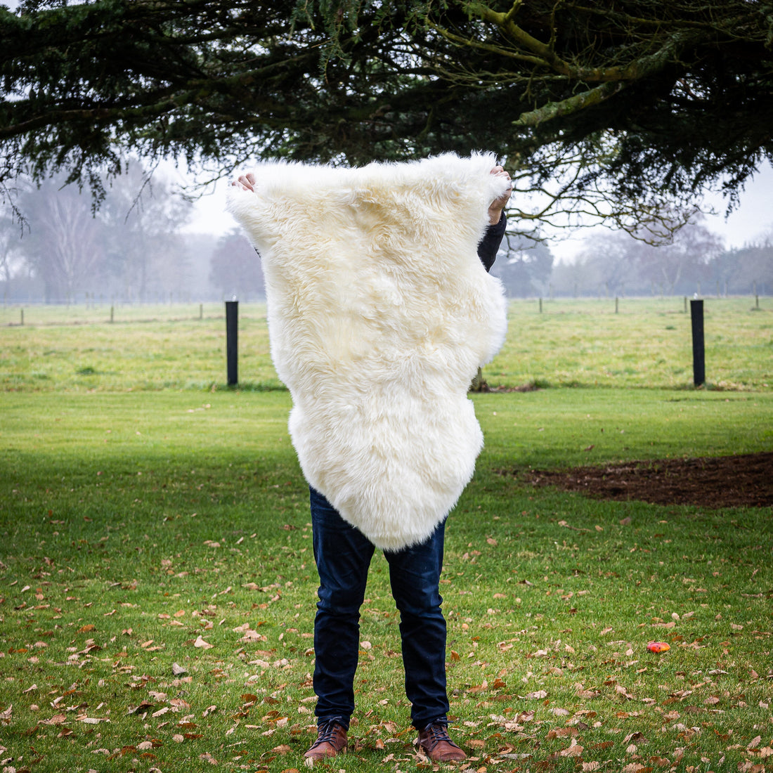 Ivory Sheepskin Rug