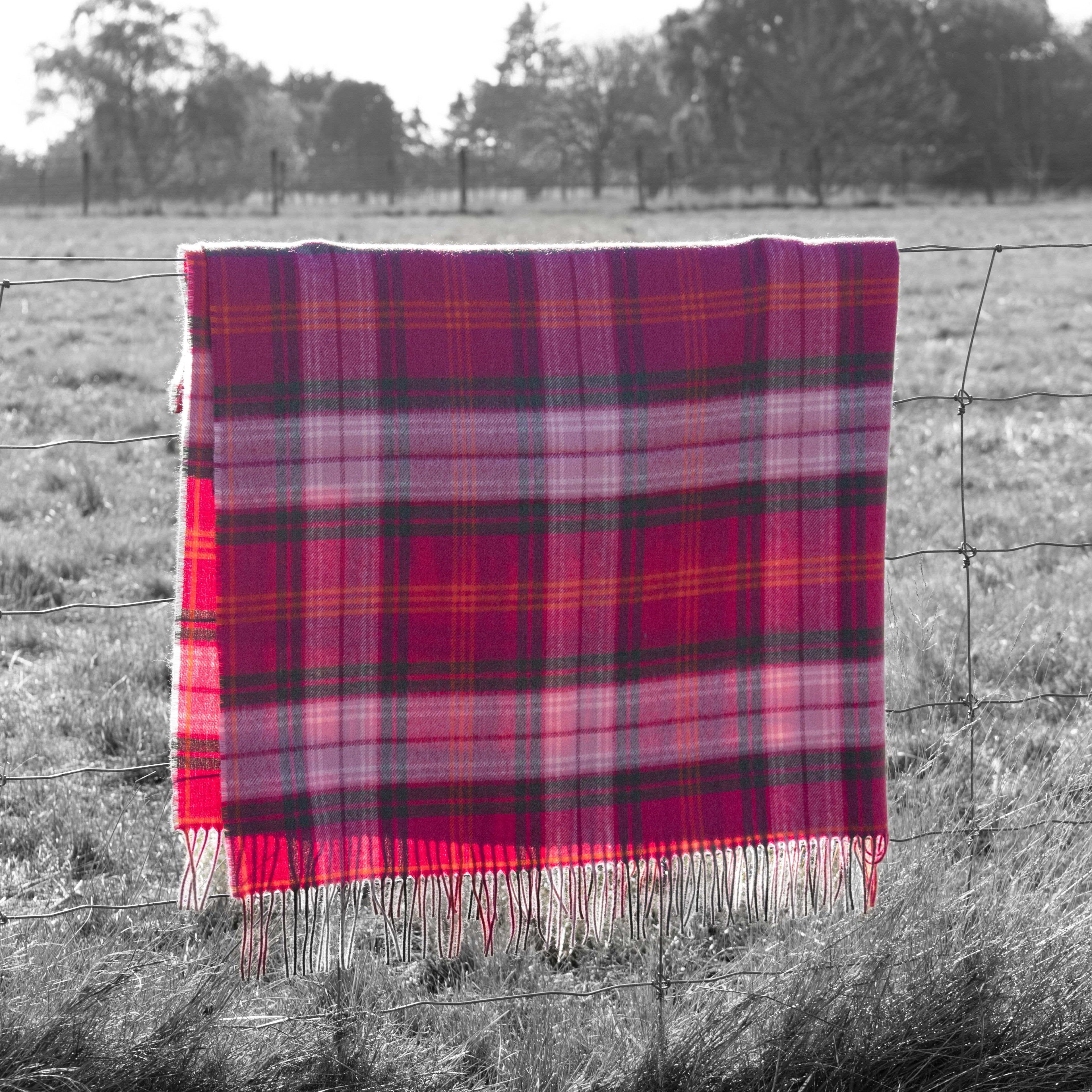 Hunting Rose Tartan Lambswool Blanket