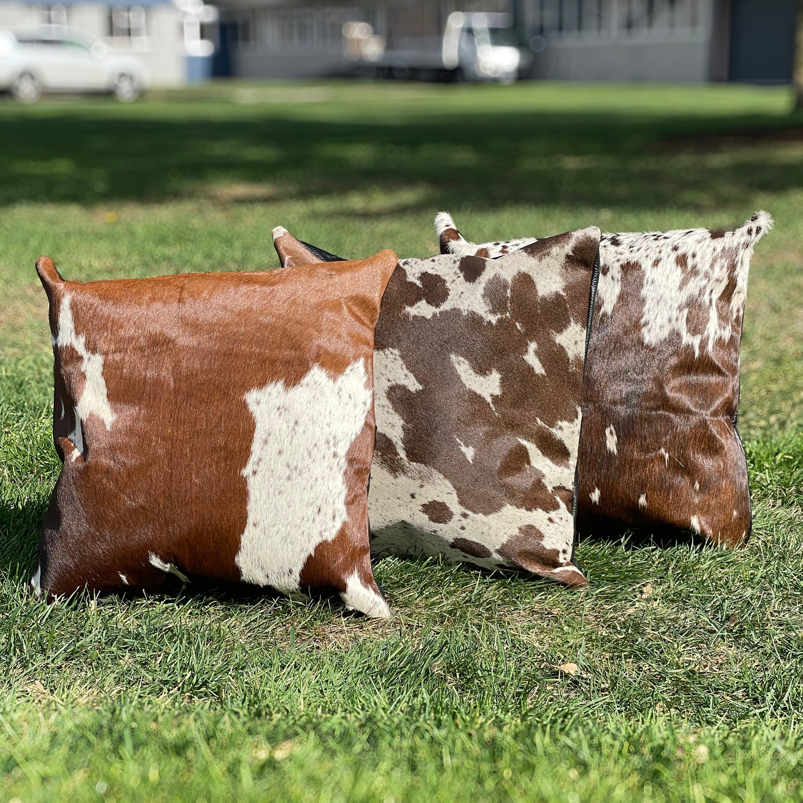 Cowhide Leather Cushion Cover Buy 1 get 2 Free