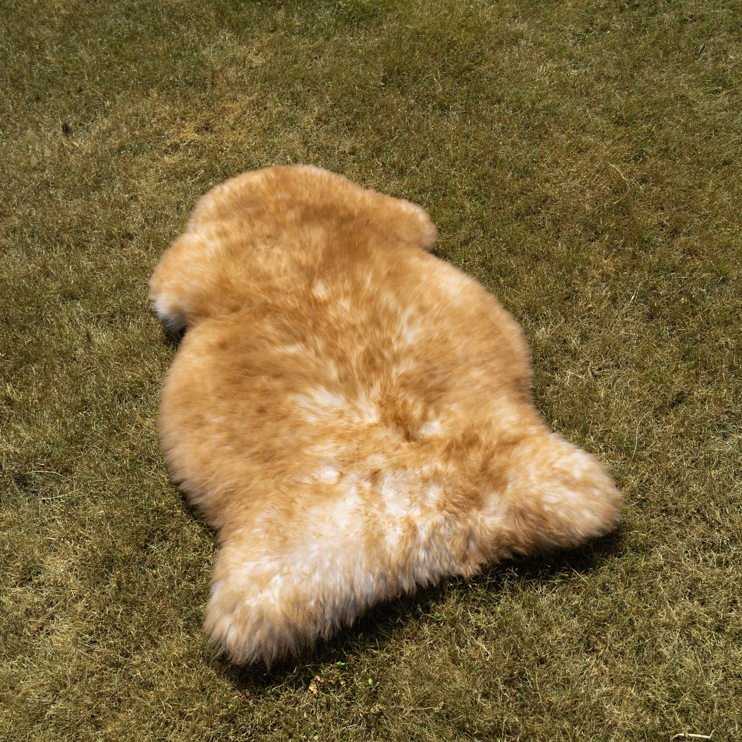 Deluxe Sheepskin Clearance Rugs