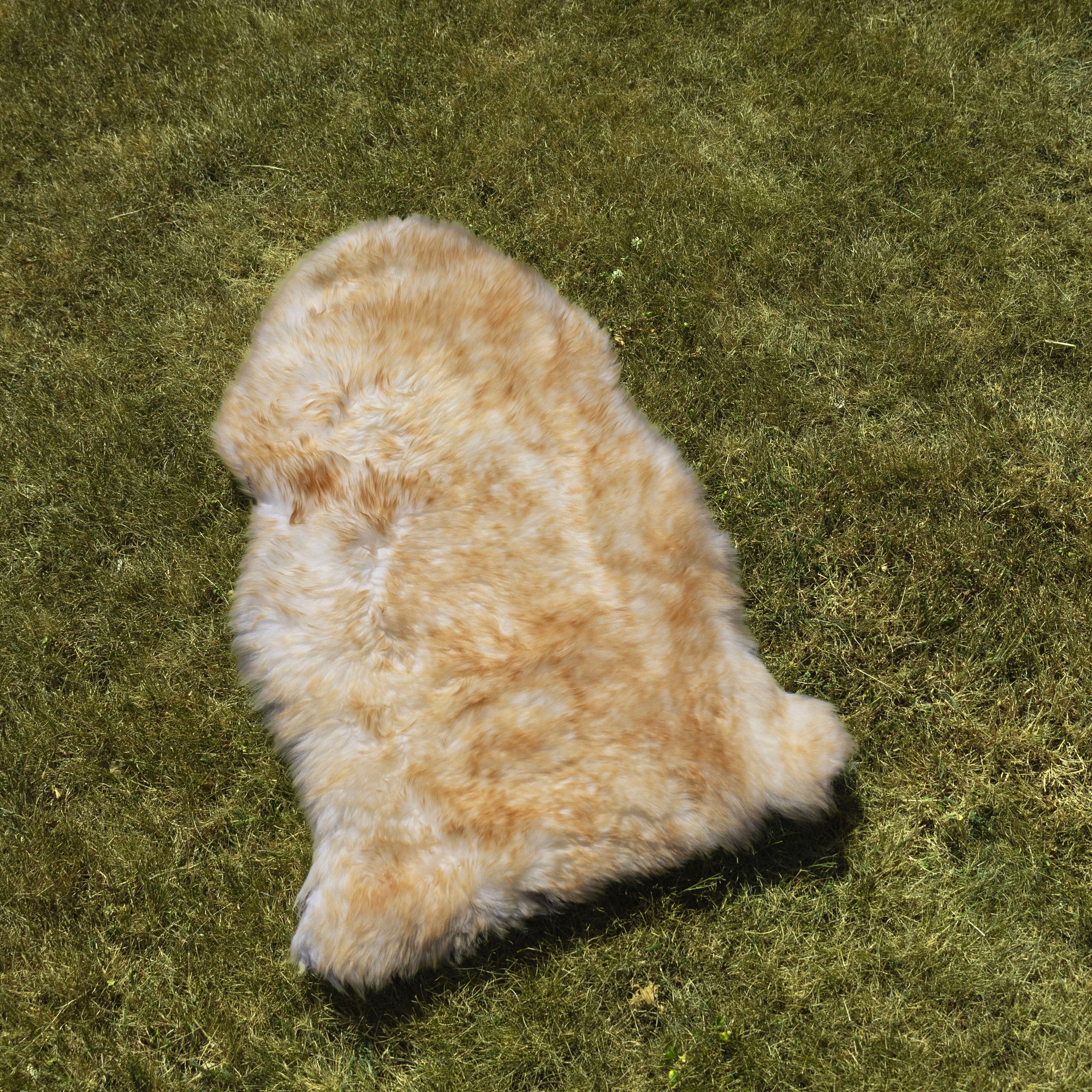 Deluxe Sheepskin Clearance Rugs