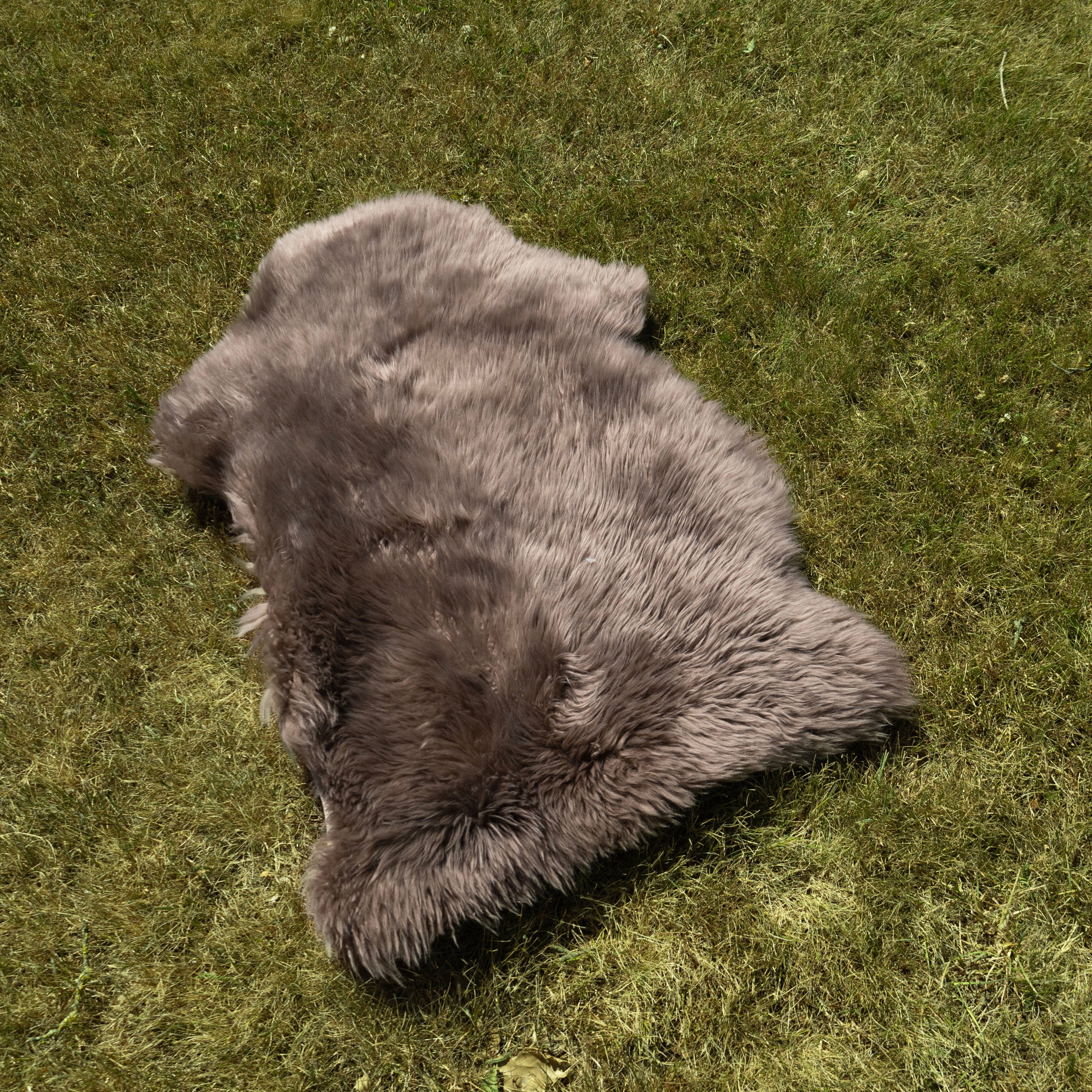 Deluxe Sheepskin Clearance Rugs