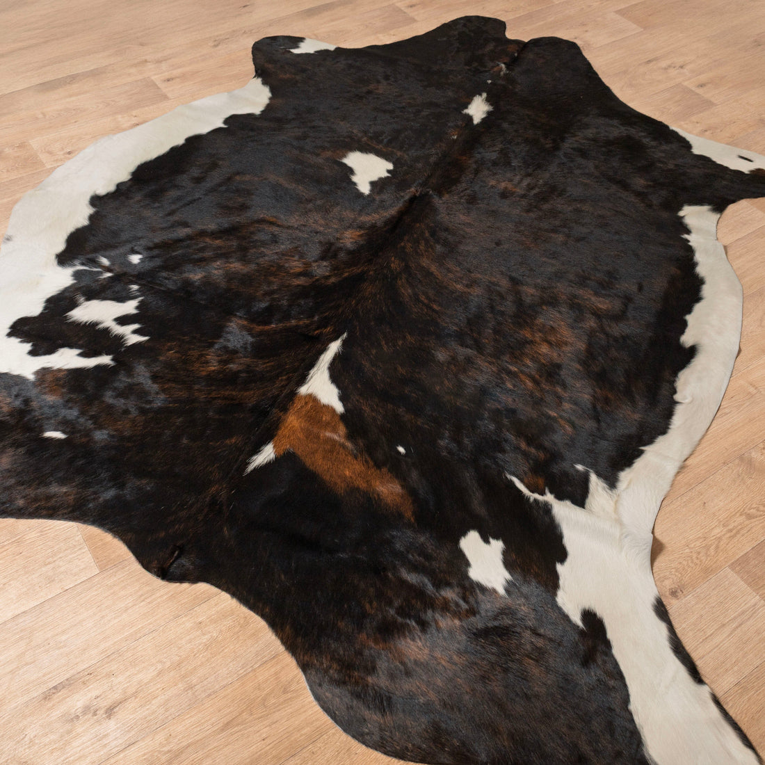 Assorted Premium Cowhide Rug