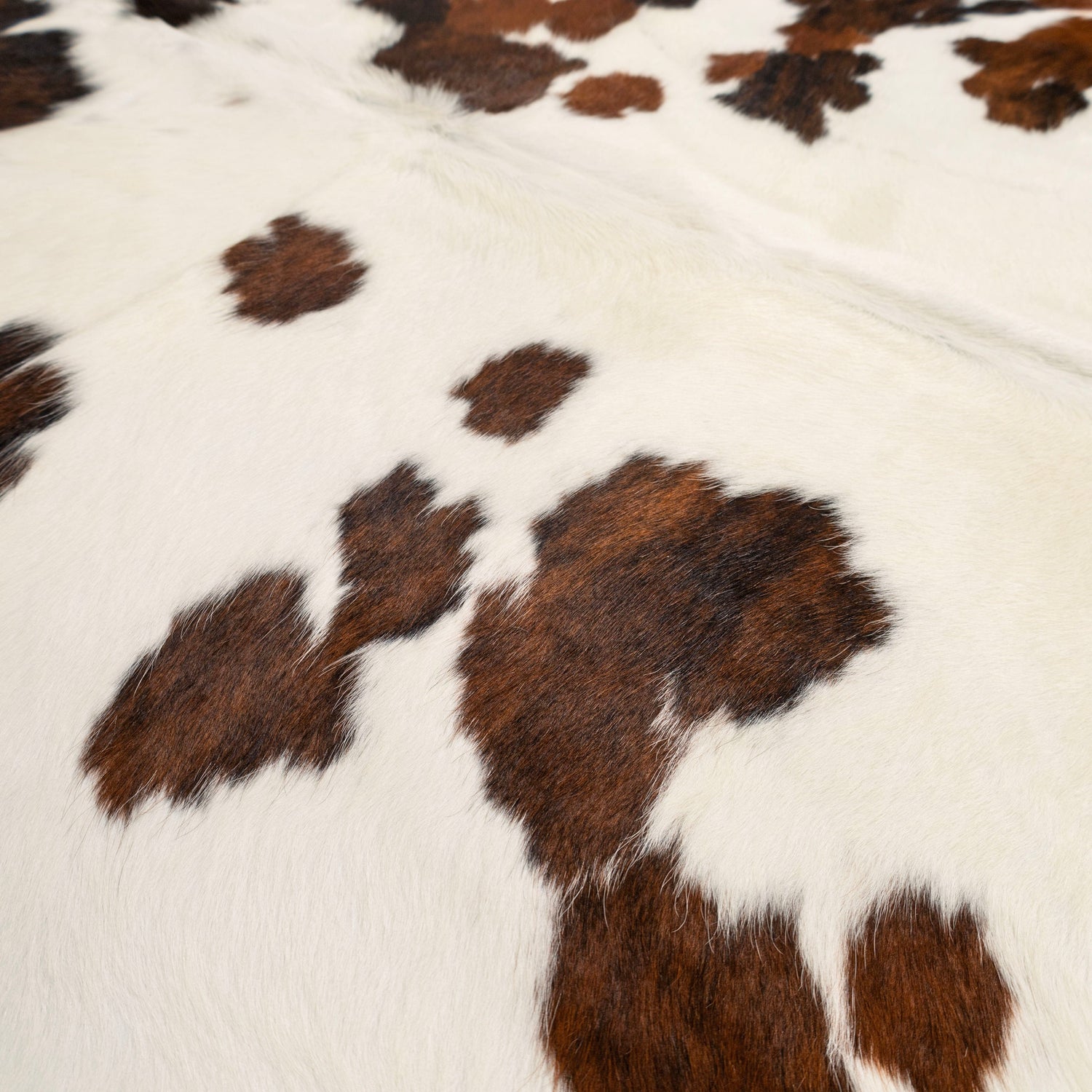 Assorted Premium Cowhide Rug