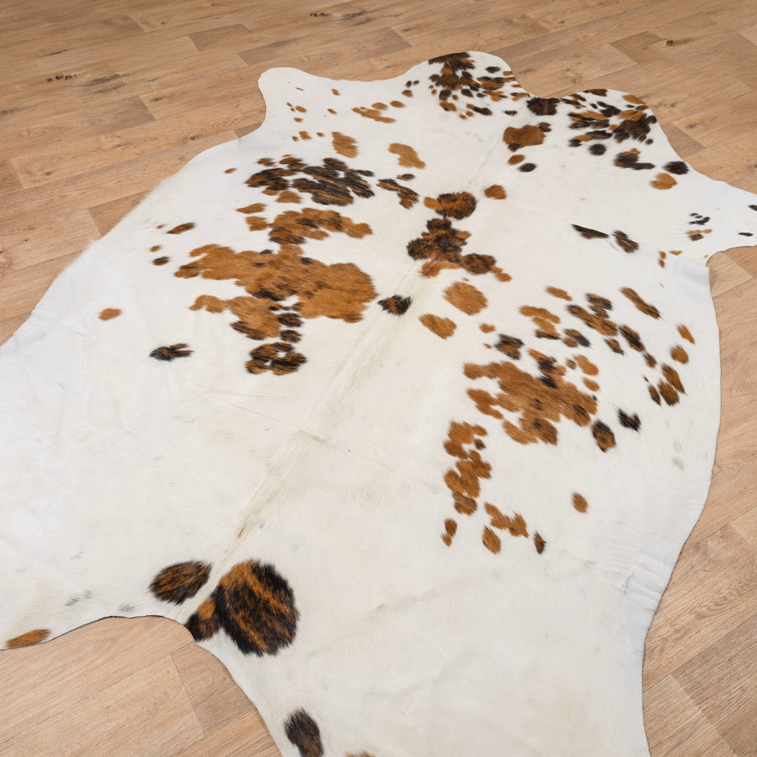 Assorted Premium Cowhide Rug