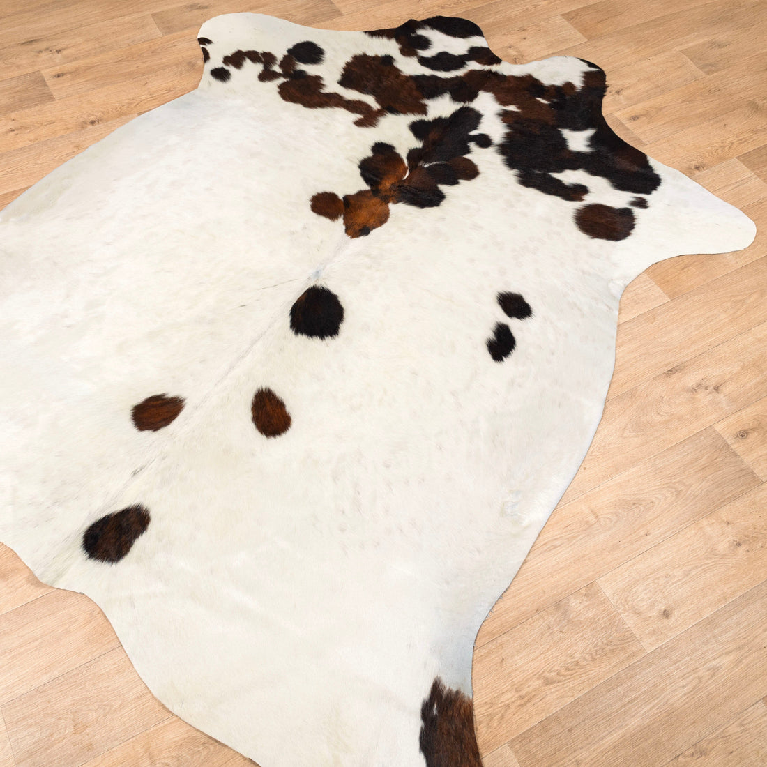 Assorted Premium Cowhide Rug