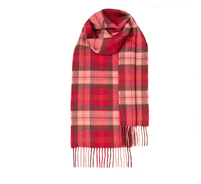 Bowhill Hunting Rose Lambswool Scarf | Wool Scarf