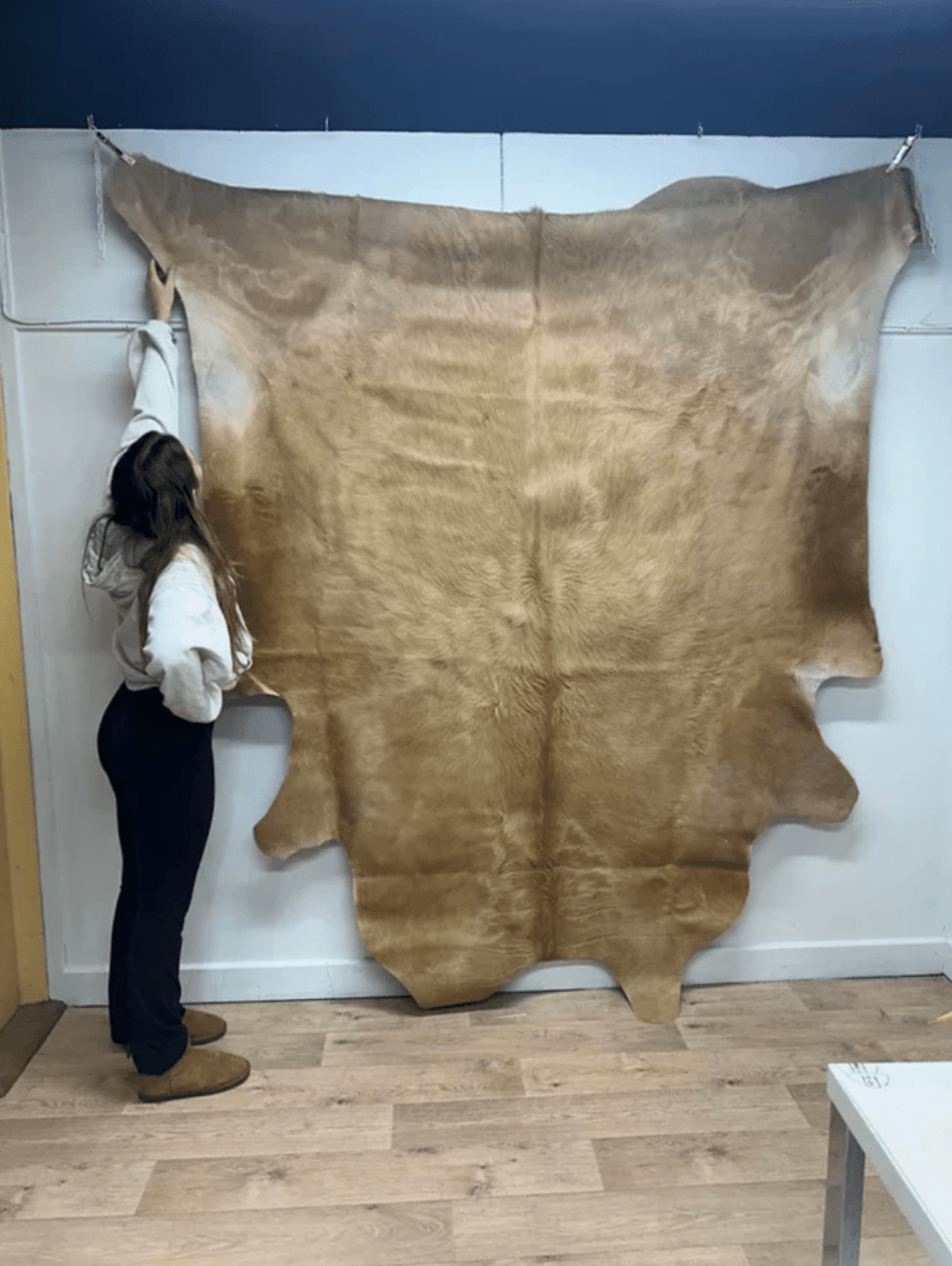 Beige Brazil Cowhide Rug