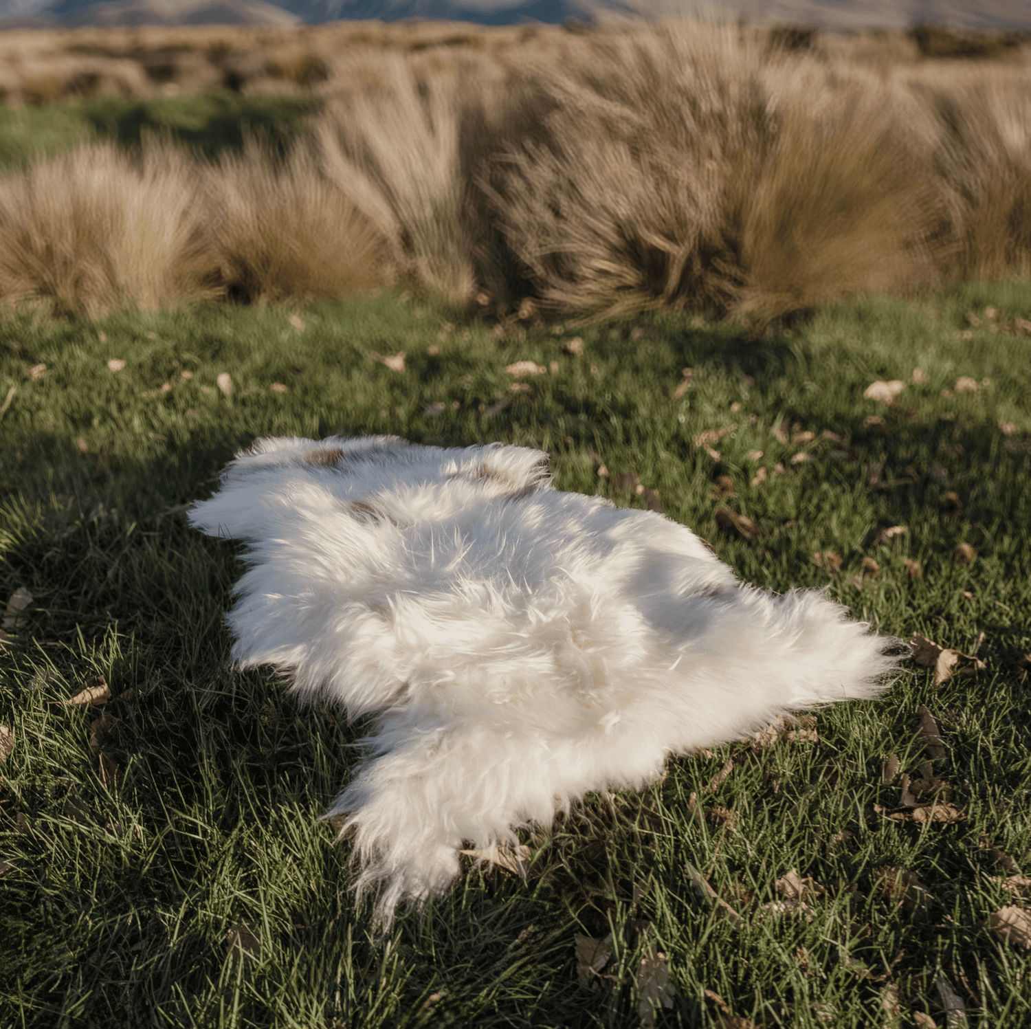 Icelandic Sheepskin