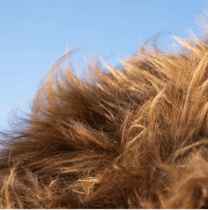 Oversized Brown Icelandic Sheepskins