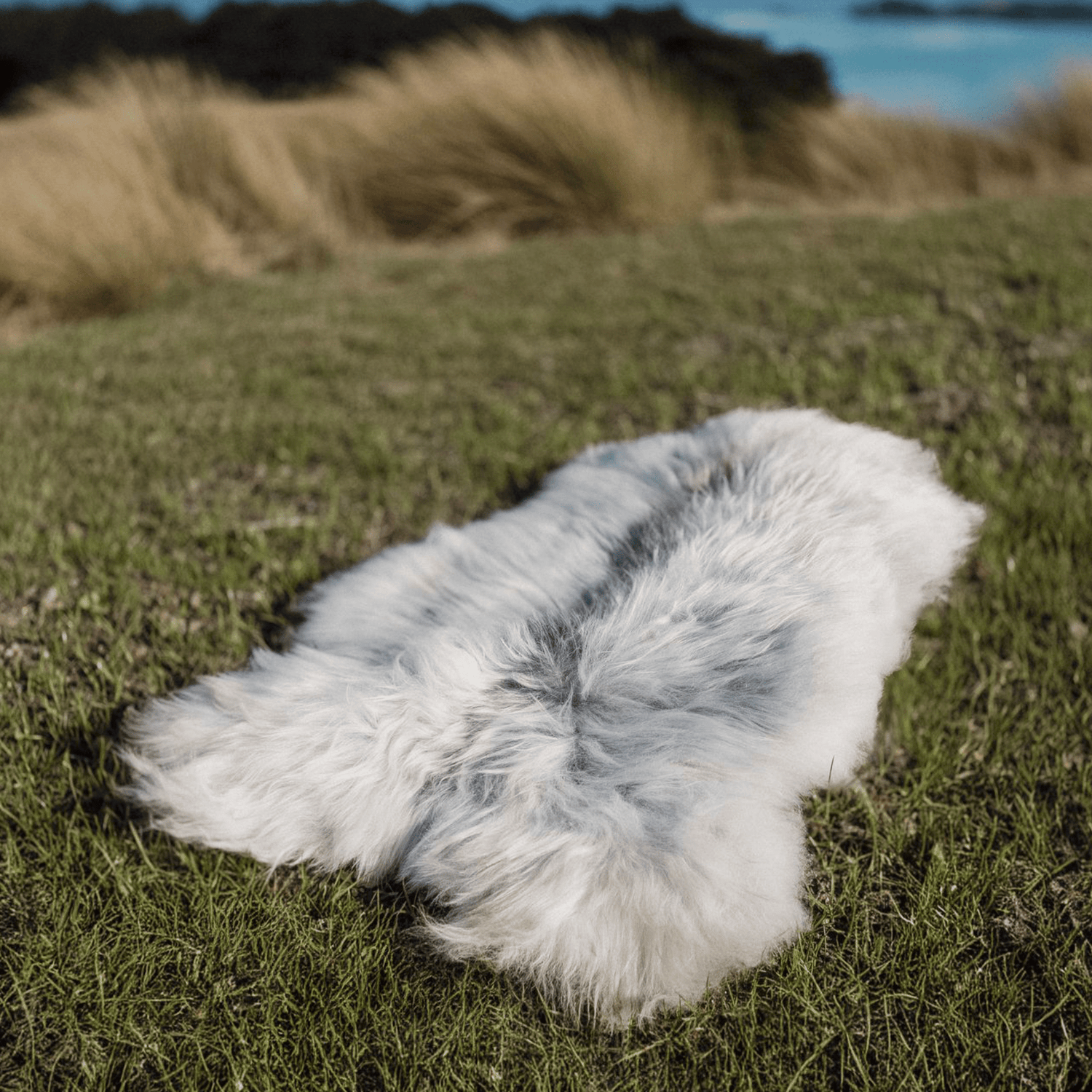 Oversized Grey Icelandic Sheepskins