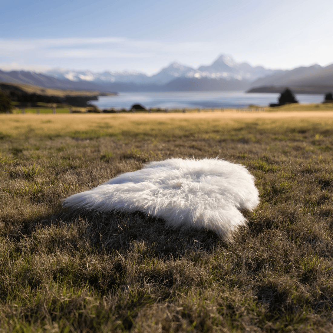 White Large Arctic Sheepskin