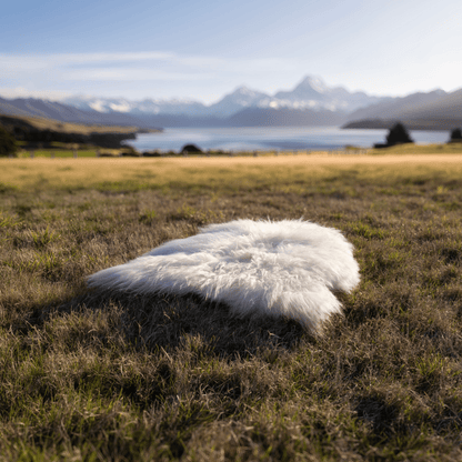 White Large Arctic Sheepskin