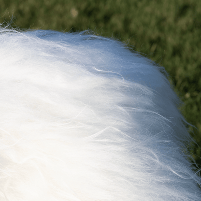 White Large Arctic Sheepskin