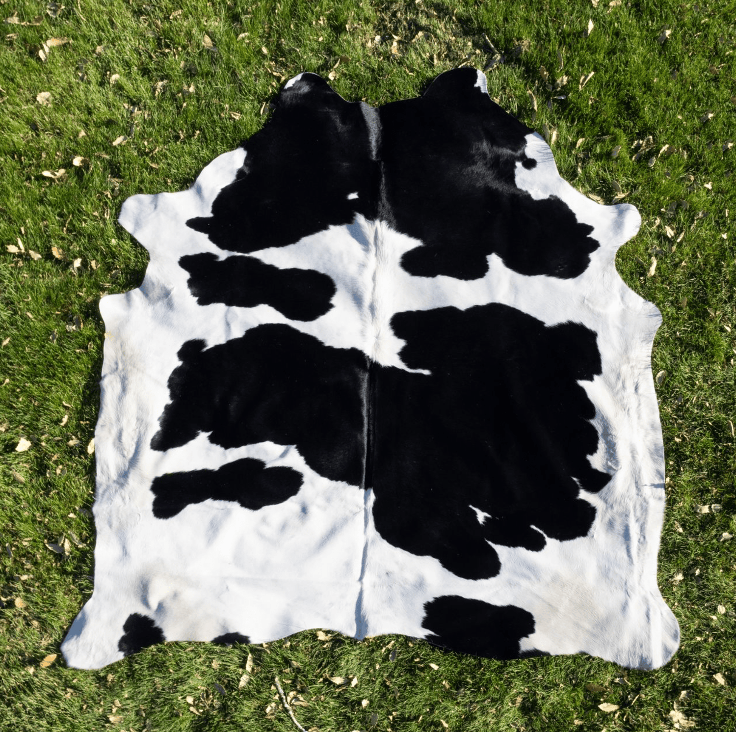 Black &amp; White Cowhide Rug