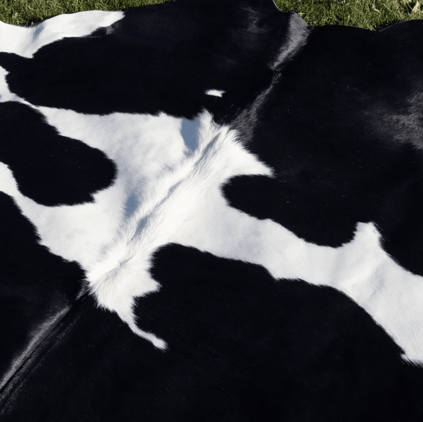 Black &amp; White Cowhide Rug