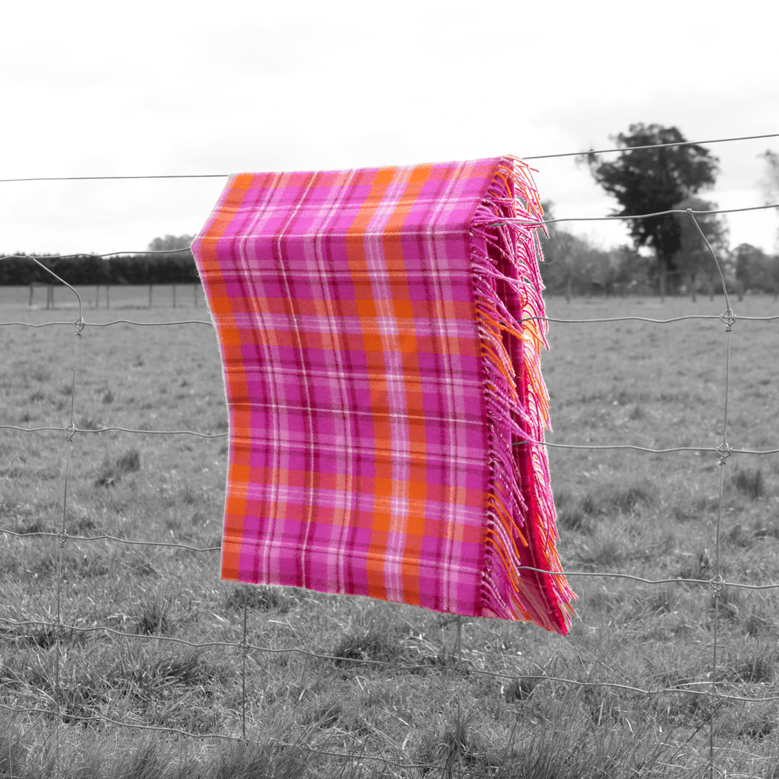 Fizzy Fleece Tartan Lambswool Blanket