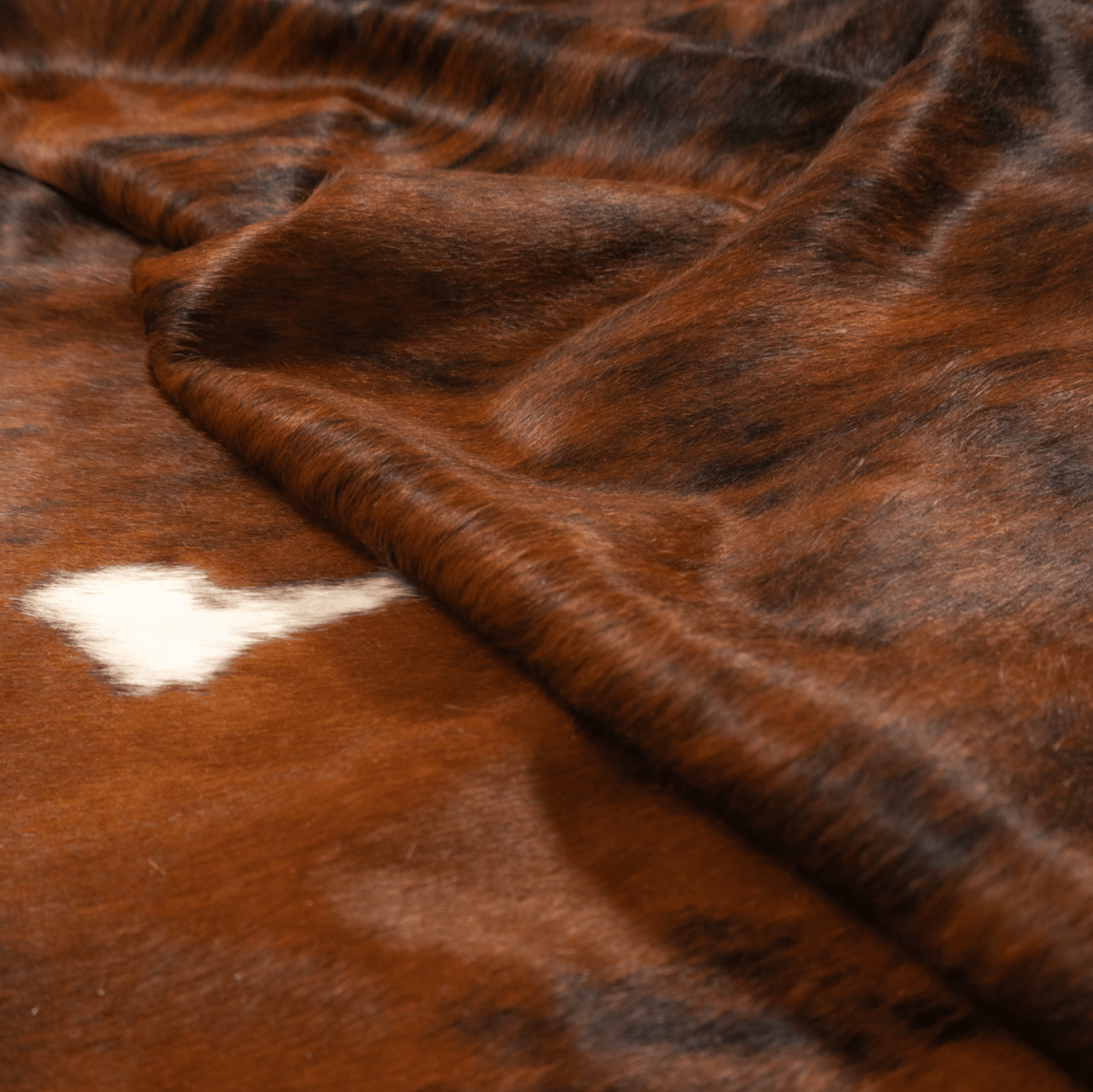 Exotic Medium Cowhide Rug